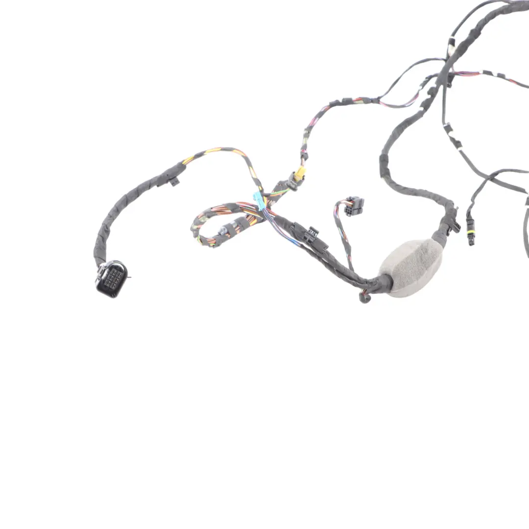 Door Wiring Front Left N/S Wires Harness Loom to BMW X3 G01 with Part number 5A48E68 BMW X3 G01 Door Wiring Front Left N/S Wires Harness Loom - SKU 5A48E68 - Part number 5A48E68