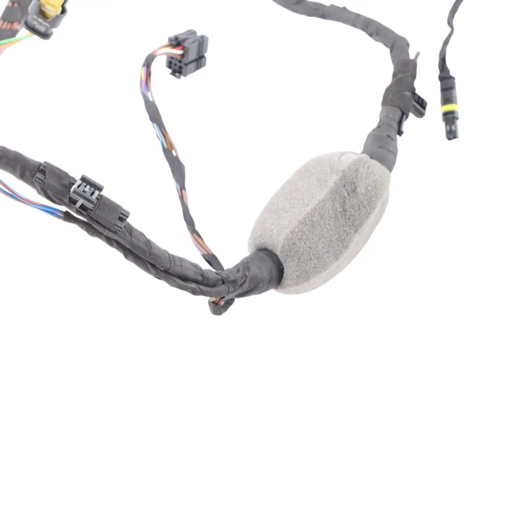 Door Wiring Front Left N/S Wires Harness Loom to BMW X3 G01 with Part number 5A48E68 BMW X3 G01 Door Wiring Front Left N/S Wires Harness Loom - SKU 5A48E68 - Part number 5A48E68