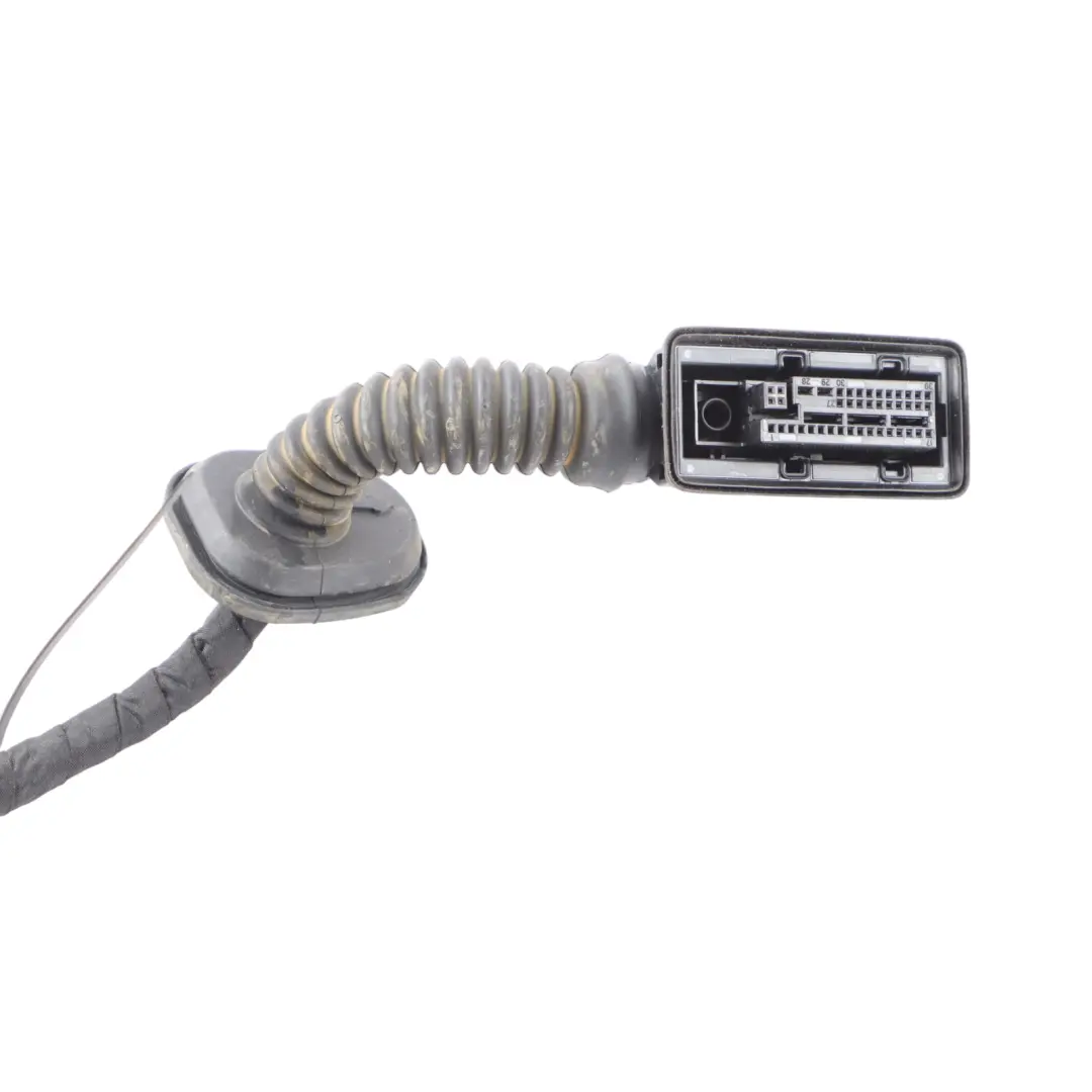 Door Front Right O/S Wiring Harness Loom to BMW X3 G01 with Part number 5A48F83 BMW X3 G01 Door Front Right O/S Wiring Harness Loom - SKU 5A48F83 - Part number 5A48F83