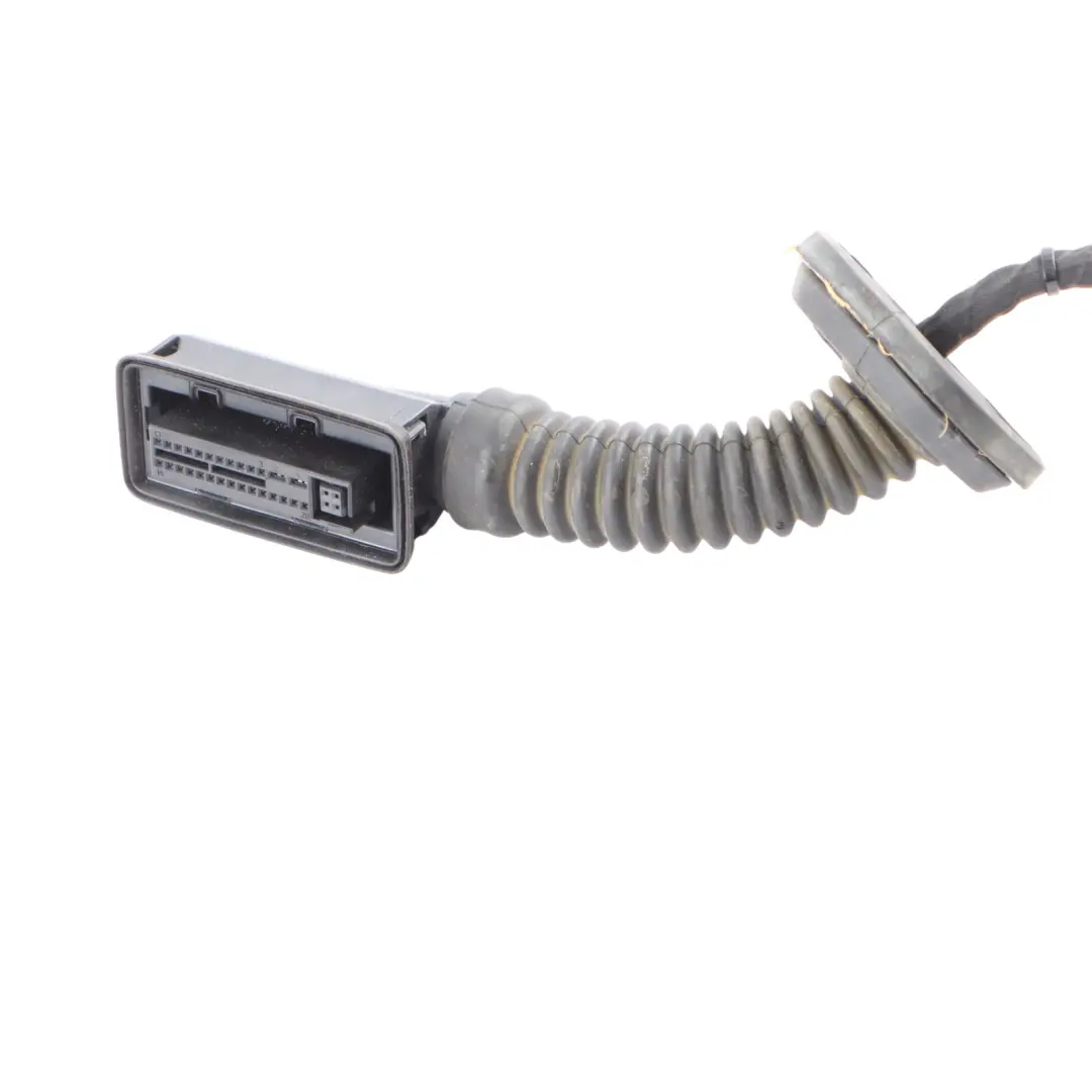 Cable Harness Rear Left Right N/O/S Door Wiring Loom to BMW X3 G01 X4 G02 with Part number 5A49003 BMW X3 G01 X4 G02 Cable Harness Rear Left Right N/O/S Door Wiring Loom - SKU 5A49005 - Part number 5A49003