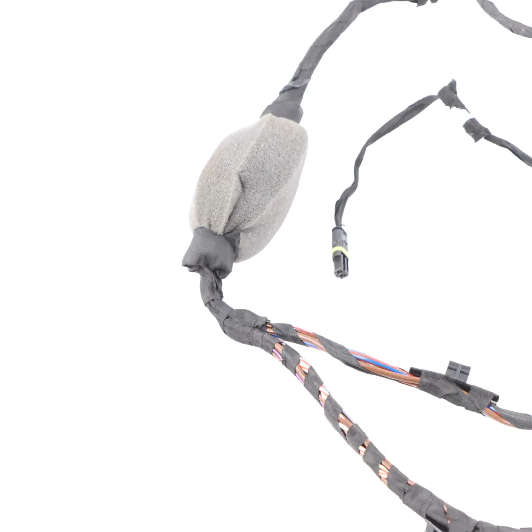 Cable Harness Rear Left Right N/O/S Door Wiring Loom to BMW X3 G01 X4 G02 with Part number 5A49003 BMW X3 G01 X4 G02 Cable Harness Rear Left Right N/O/S Door Wiring Loom - SKU 5A49005 - Part number 5A49003