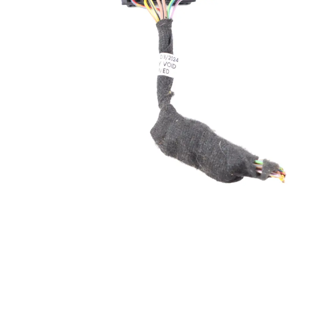 BMW E90 Cavo Spina Cablaggio Presa OBD - SKU 6954580 - Numero di parte 6954580