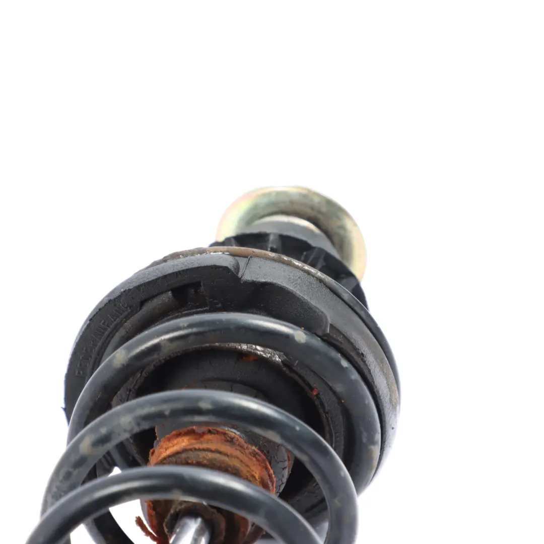 6N Shock Absorber Strut Spring Rear Left Right N/O/S to Volkswagen Polo with Part number 6N0513031L Volkswagen Polo 6N Shock Absorber Strut Spring Rear Left Right N/O/S - SKU 6N0513031L - Part number 6N0513031L