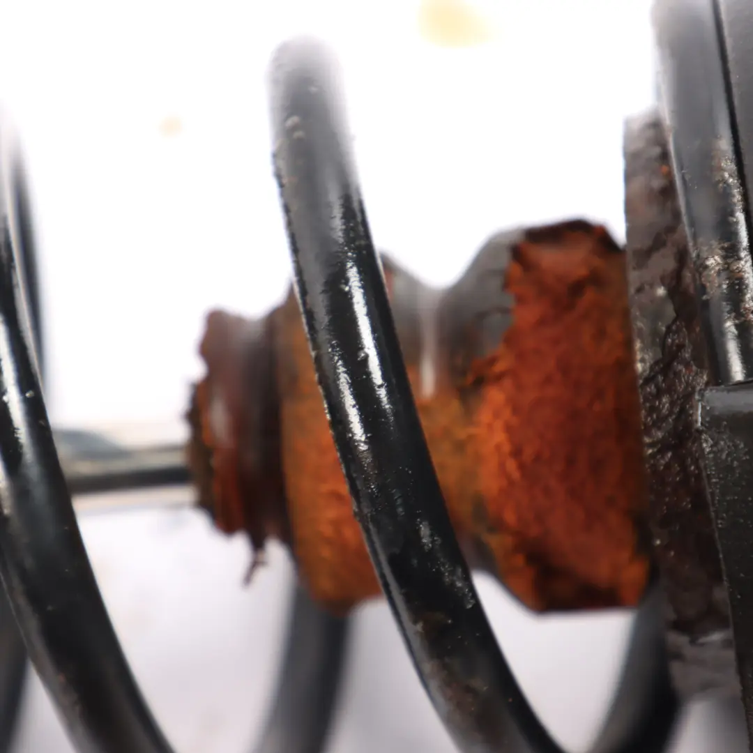 6N Shock Absorber Strut Spring Rear Left Right N/O/S to Volkswagen Polo with Part number 6N0513031L Volkswagen Polo 6N Shock Absorber Strut Spring Rear Left Right N/O/S - SKU 6N0513031L - Part number 6N0513031L