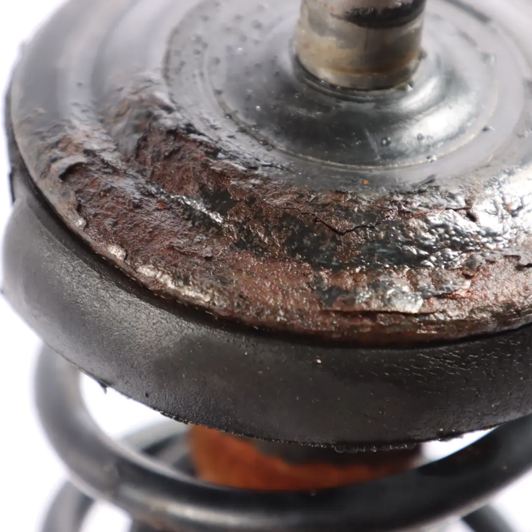 6N Shock Absorber Strut Spring Rear Left Right N/O/S to Volkswagen Polo with Part number 6N0513031L Volkswagen Polo 6N Shock Absorber Strut Spring Rear Left Right N/O/S - SKU 6N0513031L - Part number 6N0513031L