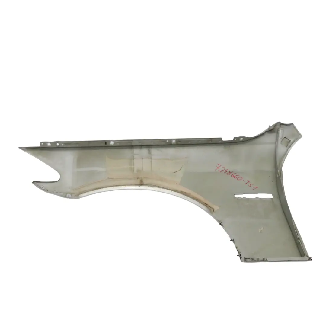 BMW F10 Wing Fender Delantero Derecho Titansilber Titan Silver - 354 - SKU 7248660-TS1 - Número de pieza 7248660