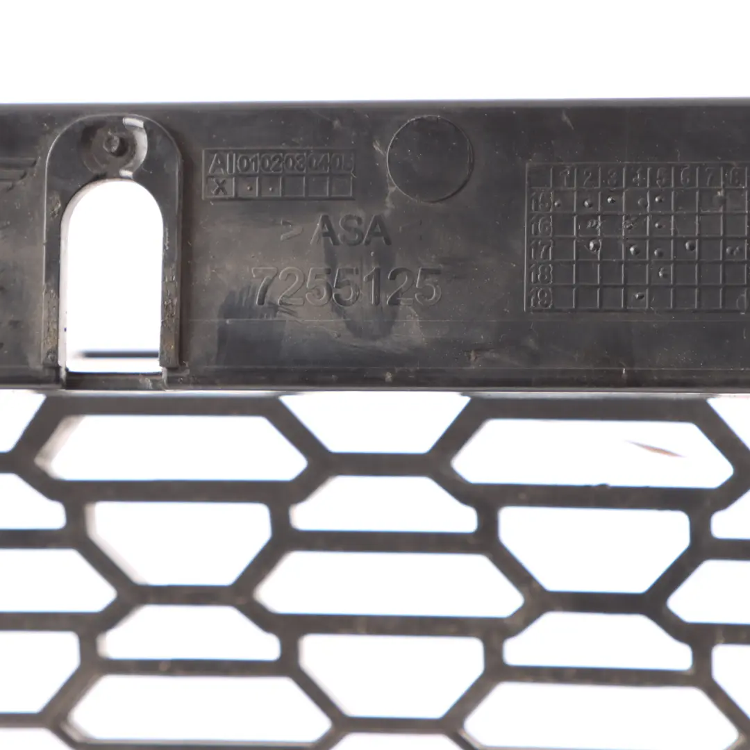 Front Bumper Grille Mini R55 R56 LCI Trim Grill Lower Bottom Cover to with Part number 7255125 Front Bumper Grille Mini R55 R56 LCI Trim Grill Lower Bottom Cover - SKU 7255125-3 - Part number 7255125