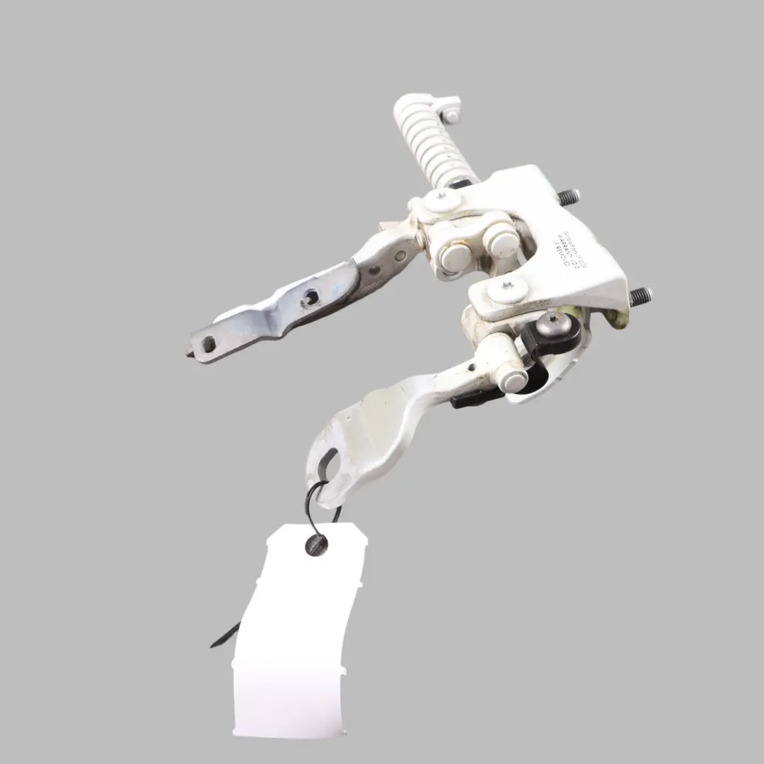 Boot Luggage Left N/S Trunk Lid Hinge Alpine White 300 to BMW F31 Rear with Part number 7298069 BMW F31 Rear Boot Luggage Left N/S Trunk Lid Hinge Alpine White 300 - SKU 7298069-AW - Part number 7298069