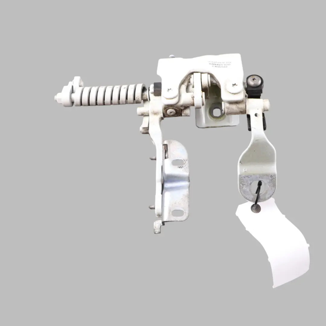 Kofferraum Deckel Scharnier Hinten Links Alpine Weiß 300 für BMW F31 mit Teilenummer 7298069 BMW F31 Kofferraum Deckel Scharnier Hinten Links Alpine Weiß 300 - SKU 7298069-AW - Teilenummer 7298069