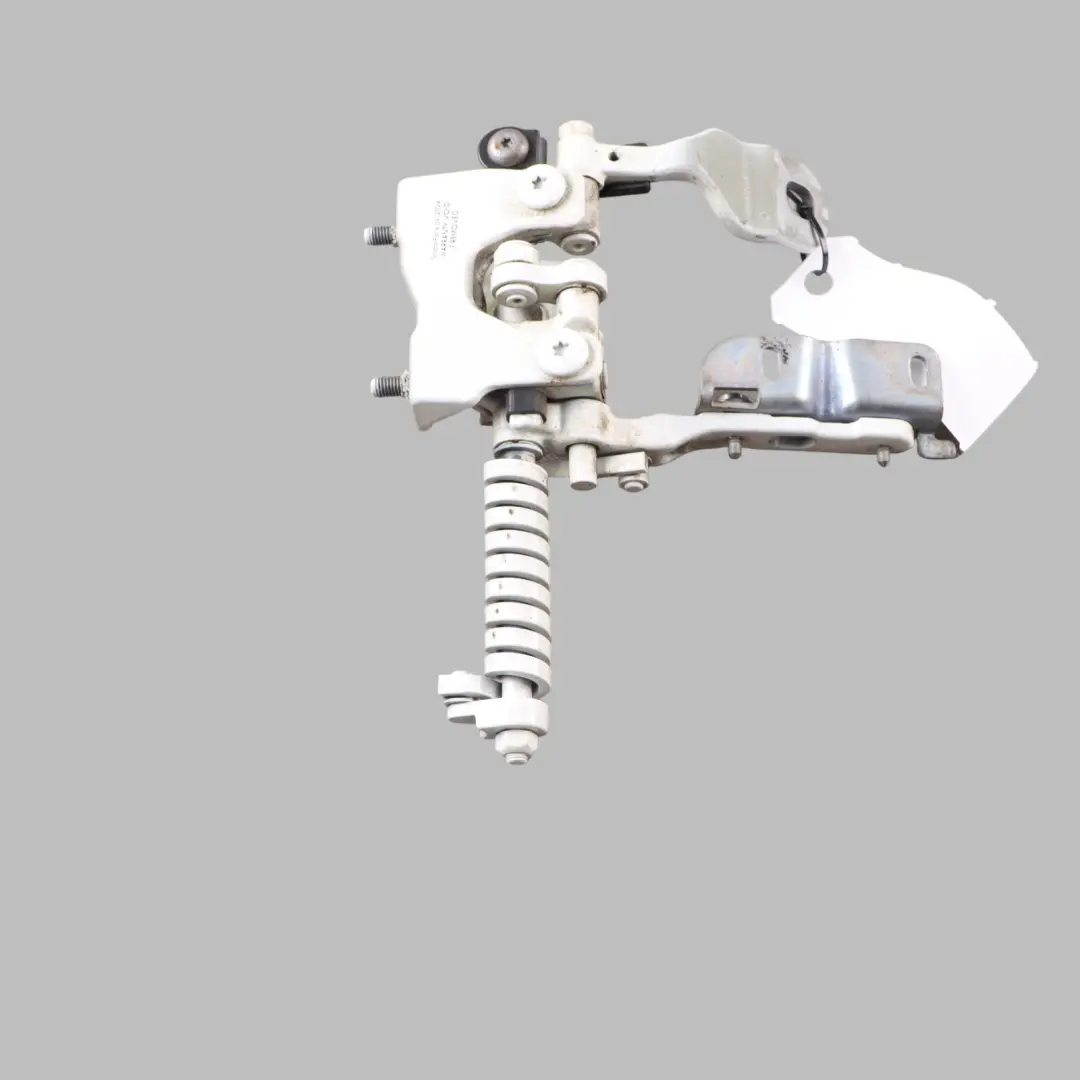 Boot Luggage Left N/S Trunk Lid Hinge Alpine White 300 to BMW F31 Rear with Part number 7298069 BMW F31 Rear Boot Luggage Left N/S Trunk Lid Hinge Alpine White 300 - SKU 7298069-AW - Part number 7298069