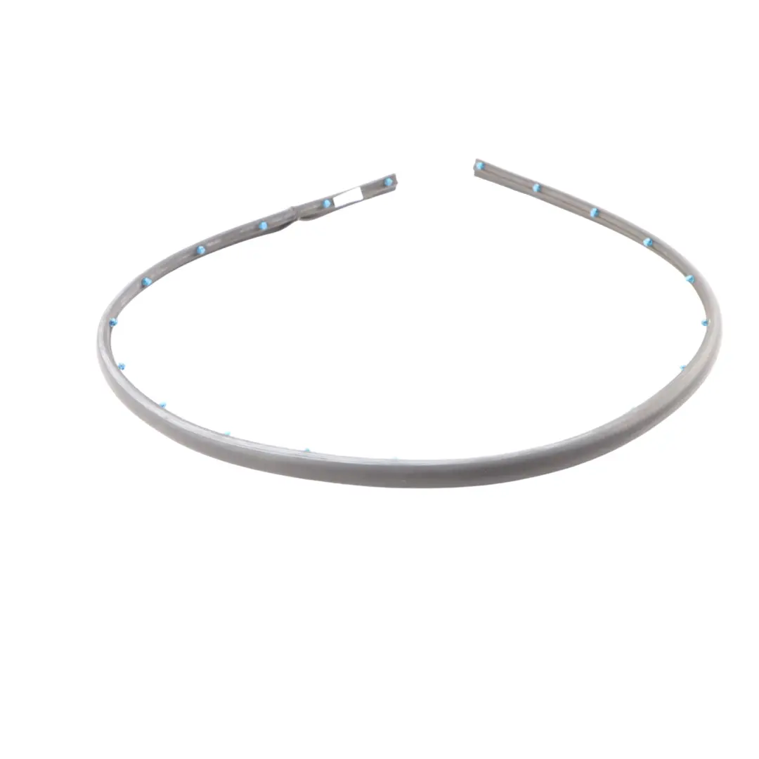 Puerta Trasera Inferior Junta Tira Izquierda Derecha para BMW X1 F48 X2 F39 con número de pieza 7349646 BMW X1 F48 X2 F39 Puerta Trasera Inferior Junta Tira Izquierda Derecha - SKU 7349646 - Número de pieza 7349646