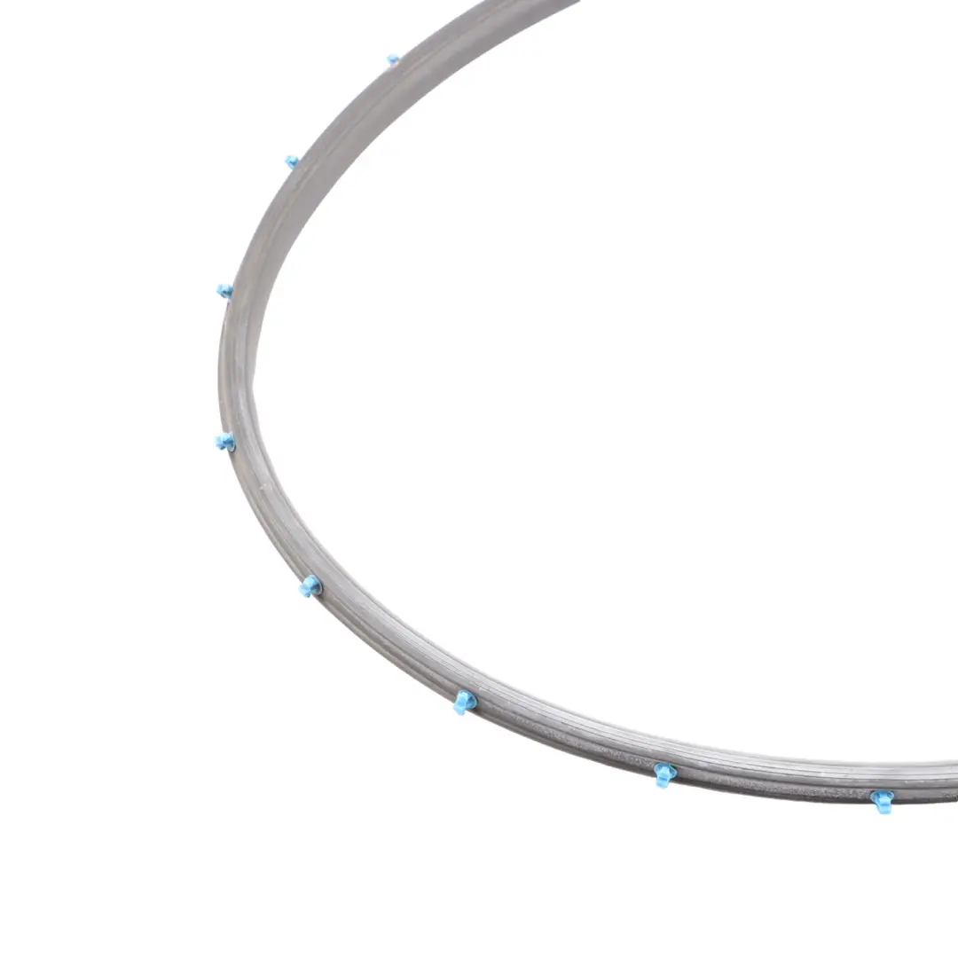 BMW X1 F48 X2 F39 Striscia Guarnizione Porta Posteriore Sinistra Destra - SKU 7349646 - Numero di parte 7349646
