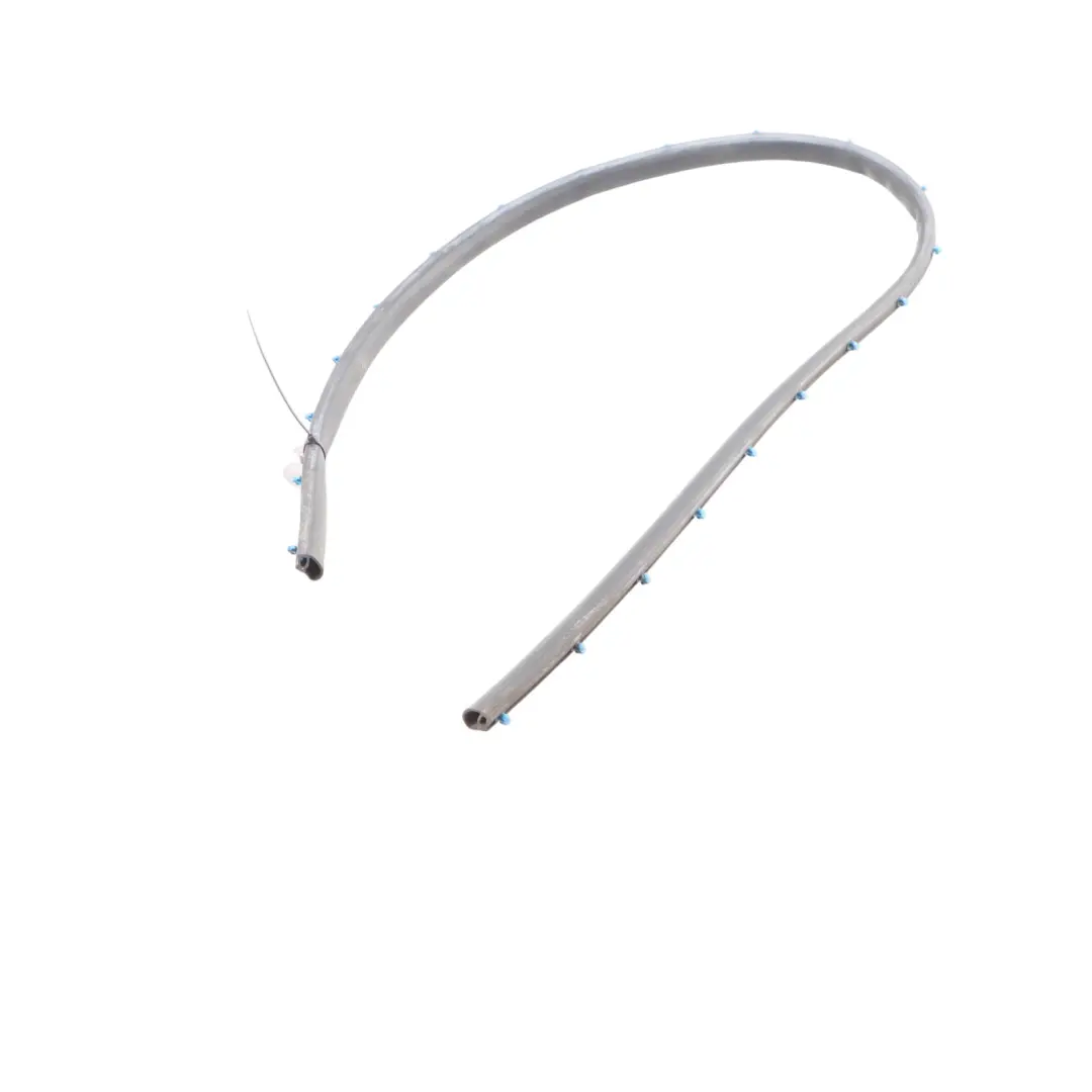 BMW X1 F48 X2 F39 Striscia Guarnizione Porta Posteriore Sinistra Destra - SKU 7349646 - Numero di parte 7349646