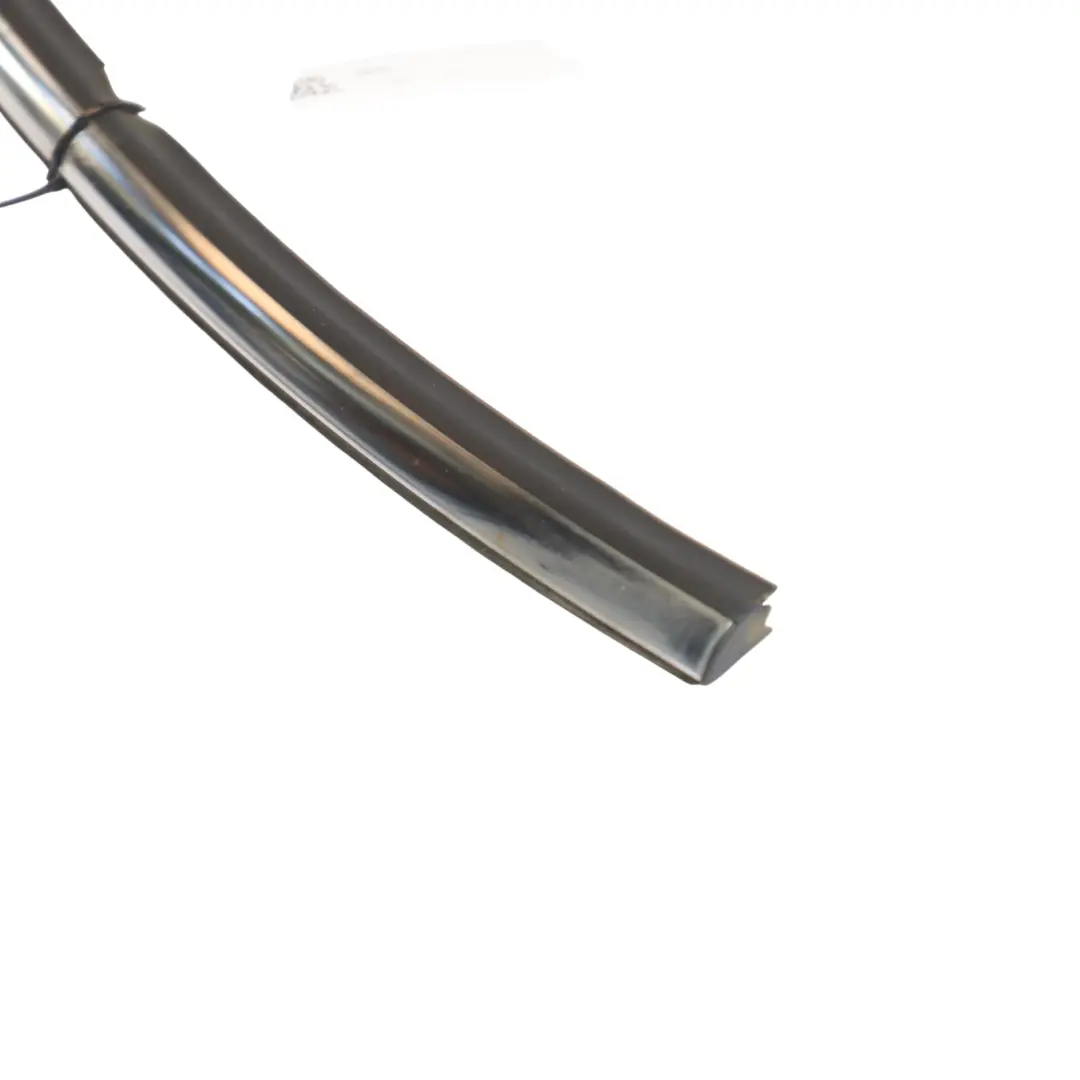 Striscia Rivestimento Bagagliaio Coperchio Cromato 7320540 per Mini Countryman F60 con numero di parte 7389453 Mini Countryman F60 Striscia Rivestimento Bagagliaio Coperchio Cromato 7320540 - SKU 7389453 - Numero di parte 7389453