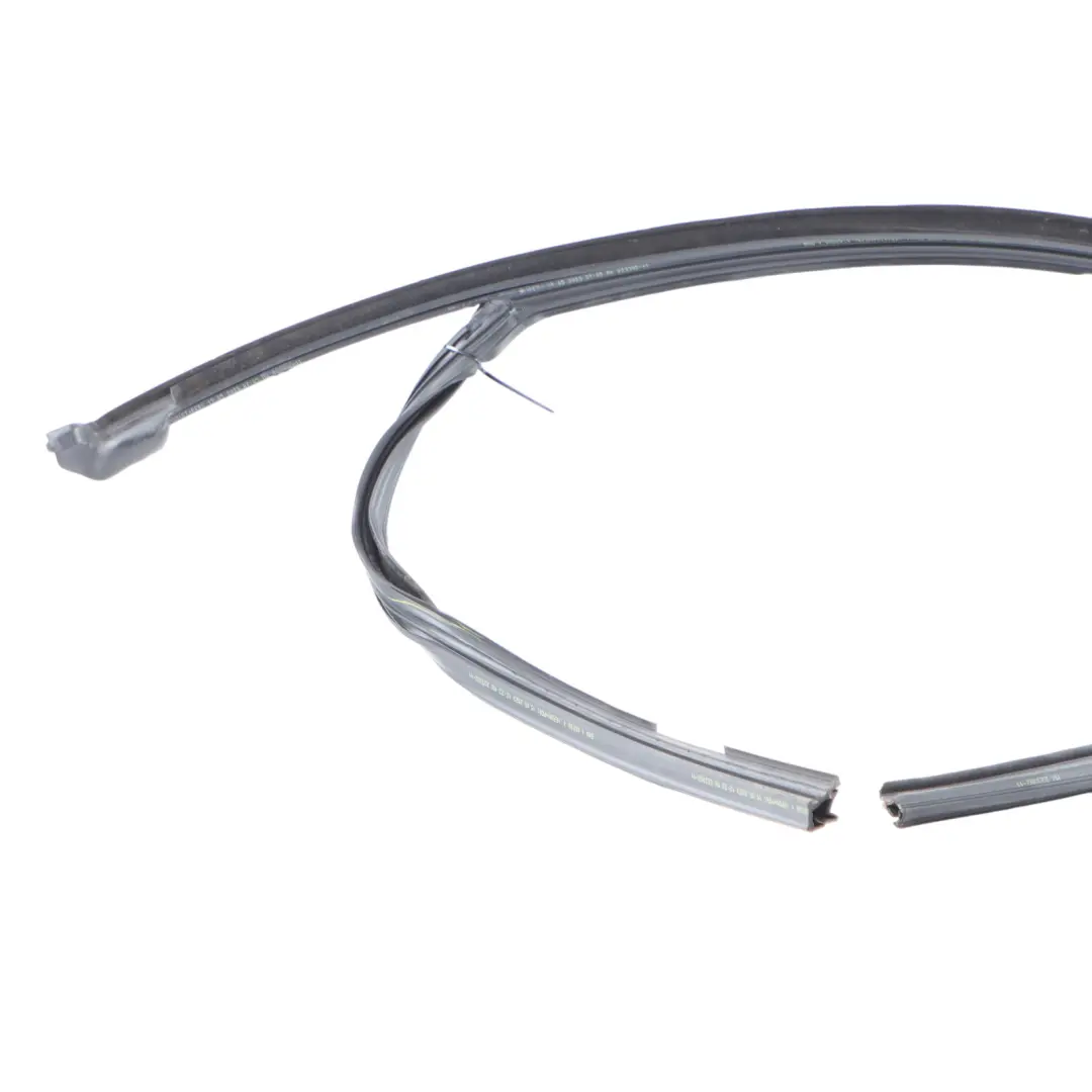 BMW X3 G01 Guarnizione Finestra Porta Anteriore Destra Guida Telaio - SKU 7393426 - Numero di parte 7393426