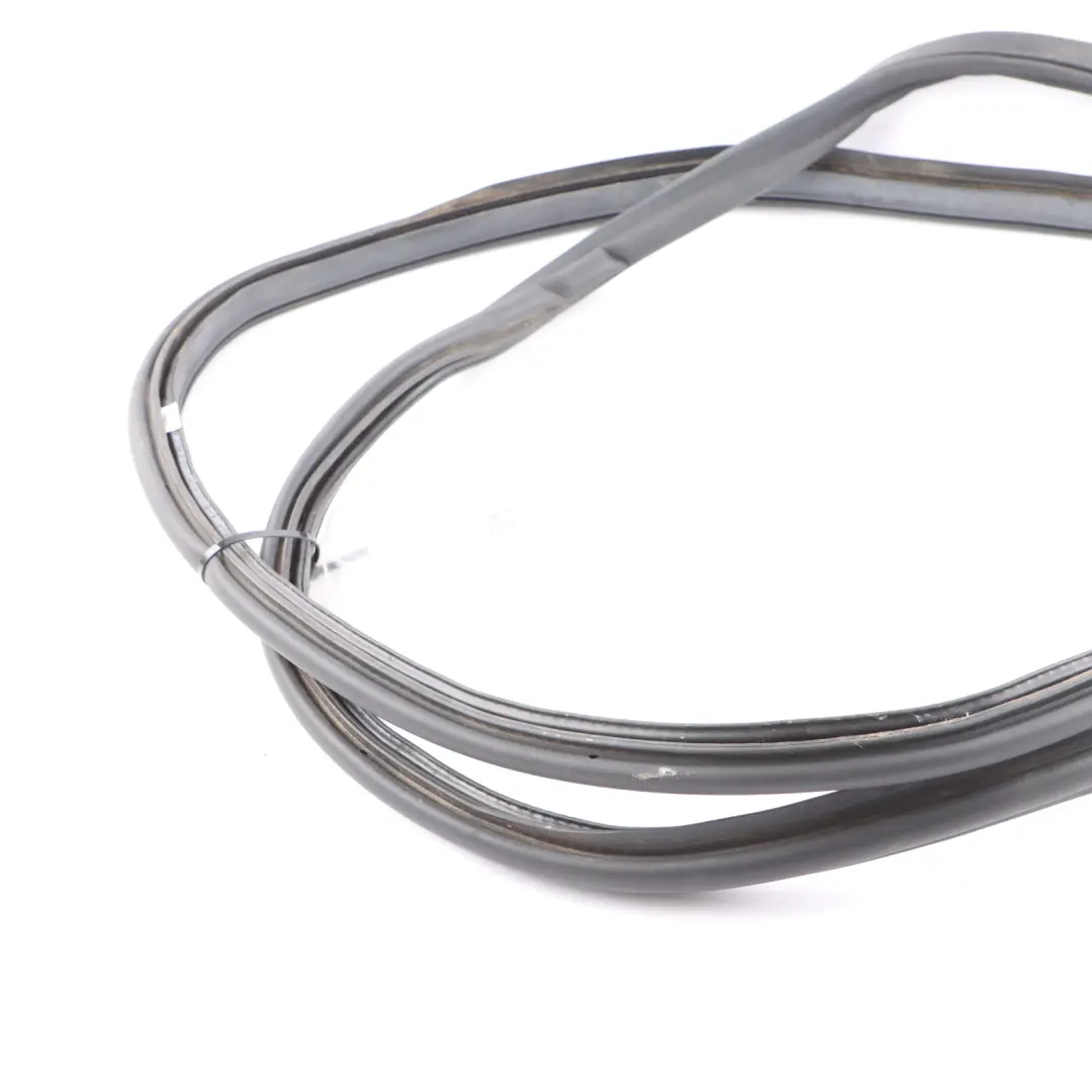 Guarnizione portellone coperchio bagagliaio gomma per BMW X3 F97 G01 con numero di parte 7397317 BMW X3 F97 G01 Guarnizione portellone coperchio bagagliaio gomma - SKU 7397317 - Numero di parte 7397317