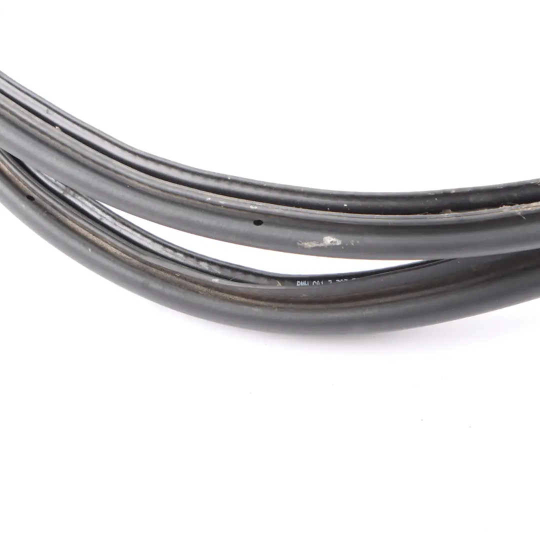 Guarnizione portellone coperchio bagagliaio gomma per BMW X3 F97 G01 con numero di parte 7397317 BMW X3 F97 G01 Guarnizione portellone coperchio bagagliaio gomma - SKU 7397317 - Numero di parte 7397317