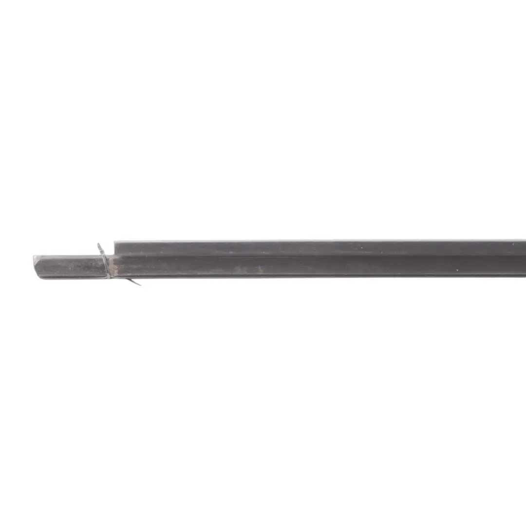 BMW F44 Shadow Line Window Well Strip Outer Moulding Door Rear Left N/S - SKU 7483139 - Part number 7483139