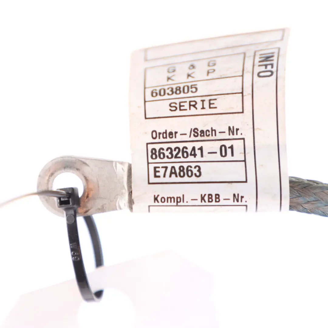 BMW X5 F15 40eX Cavo Massa Terra Batteria Elettrico - SKU 8632641 - Numero di parte 8632641