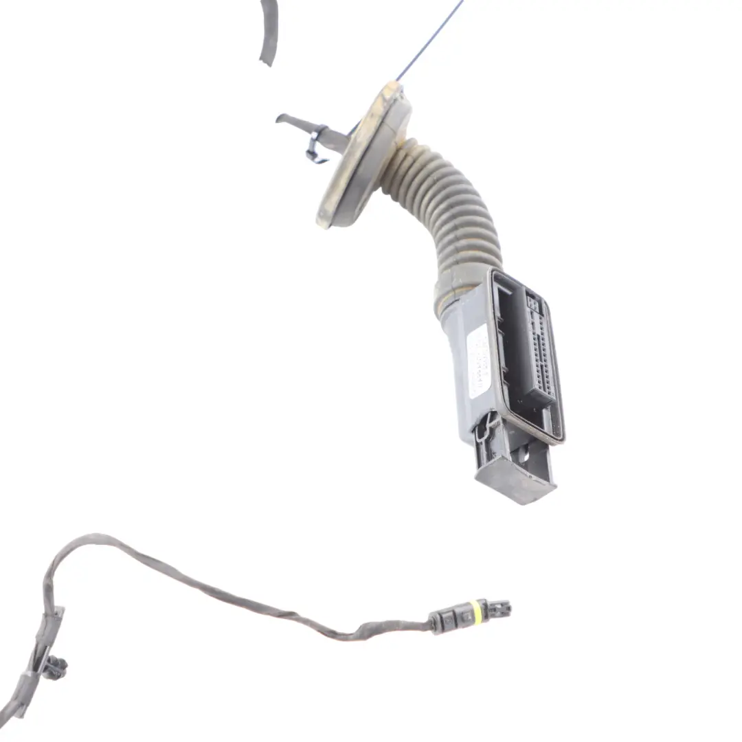 Door Wiring Harness Rear Door Right Left N/O/S 8727996 to BMW F44 Gran Coupe with Part number 8727997 BMW F44 Gran Coupe Door Wiring Harness Rear Door Right Left N/O/S 8727996 - SKU 8727997 - Part number 8727997