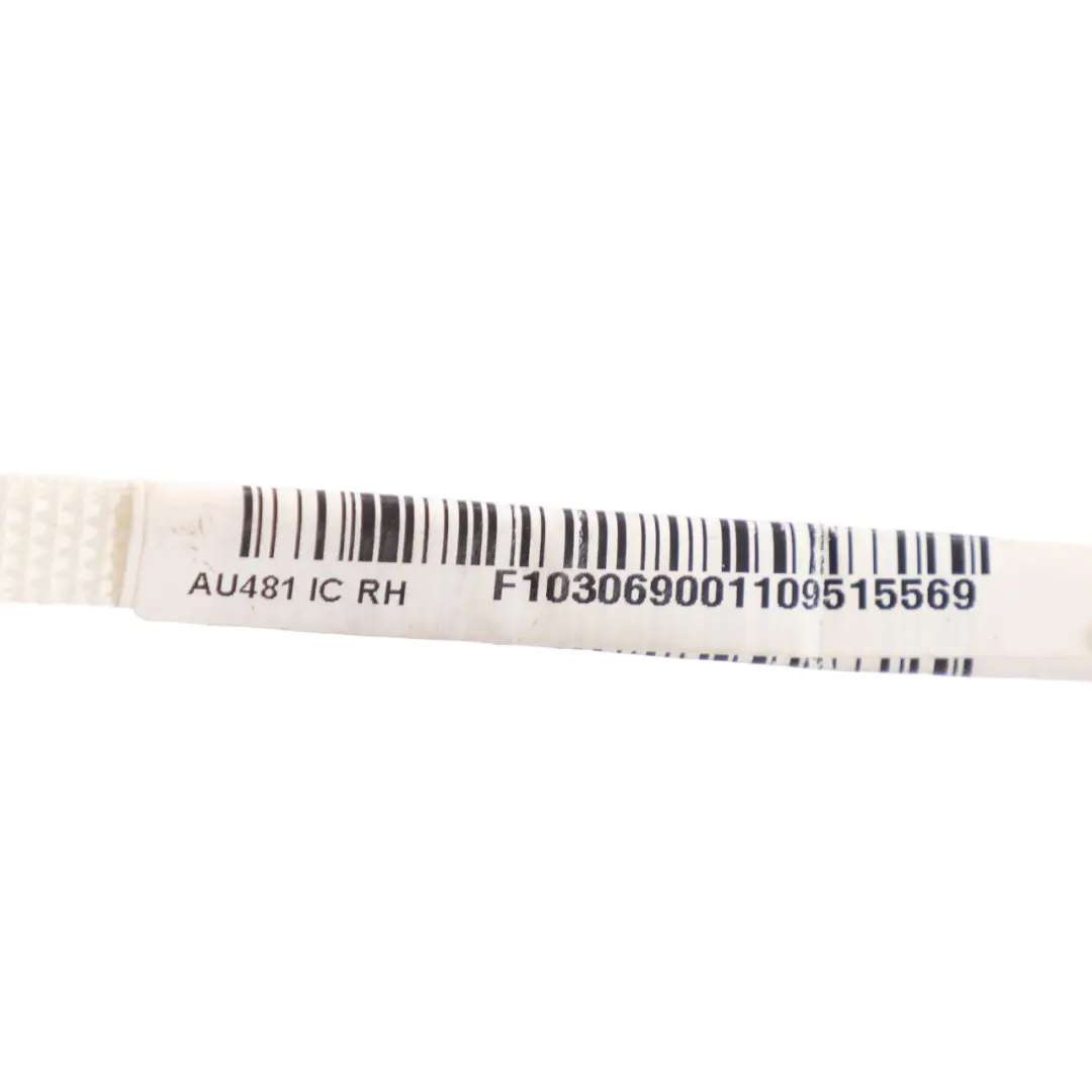 Audi A4 B8 Head Roof Curtain Air Module Right O/S Air - SKU 8K0880742F - Part number 8K0880742F