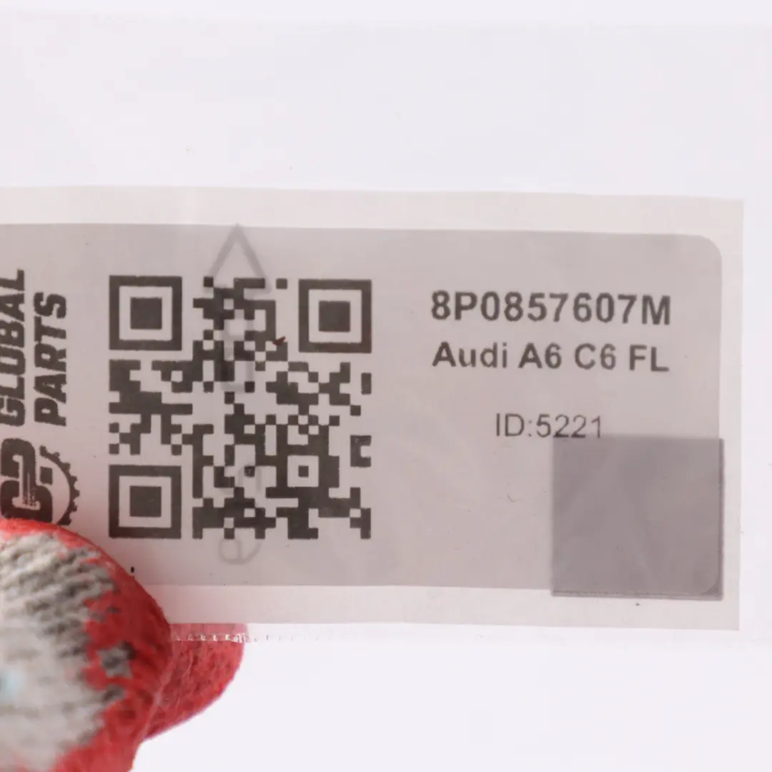 Audi A6 C6 FL Zestaw Uchwytów Rączek Beż Beżowe - SKU 8P0857607M - Numer Części 8P0857607M