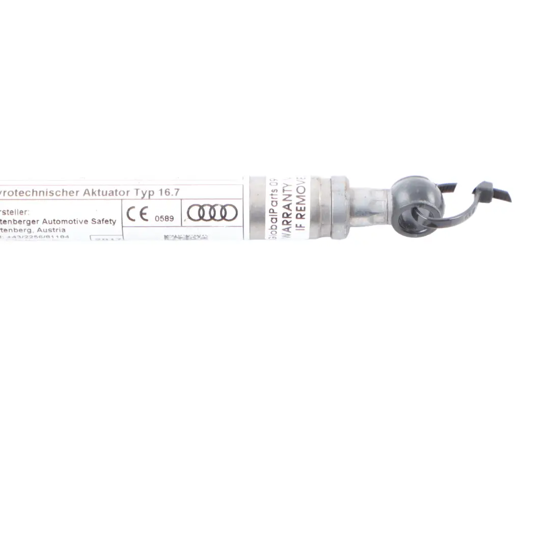 Audi A3 8V Actionneur de charnière de capot avant gauche - SKU 8V0823823F - Numéro de pièce 8V0823823F