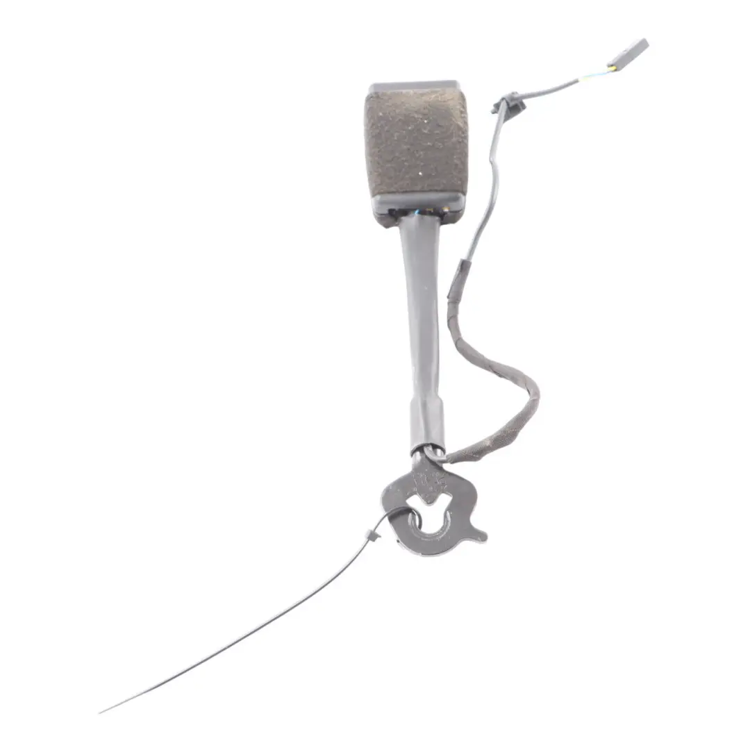 Tige boucle ceinture sécurité Avant droite gauche pour Audi A3 S3 8V à propos du numéro de pièce 8V0857755F Audi A3 S3 8V Tige boucle ceinture sécurité Avant droite gauche - SKU 8V0857755F - Numéro de pièce 8V0857755F