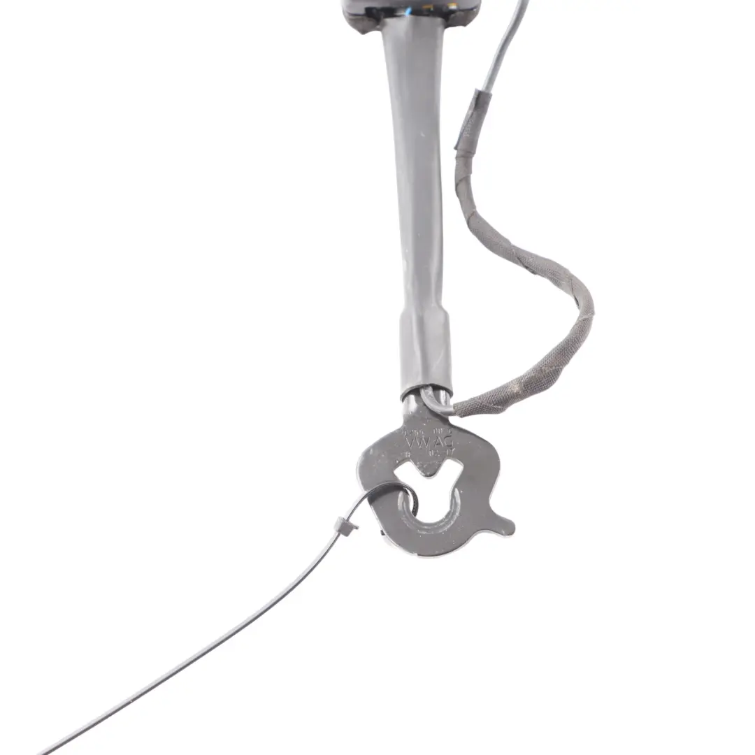 Tige boucle ceinture sécurité Avant droite gauche pour Audi A3 S3 8V à propos du numéro de pièce 8V0857755F Audi A3 S3 8V Tige boucle ceinture sécurité Avant droite gauche - SKU 8V0857755F - Numéro de pièce 8V0857755F