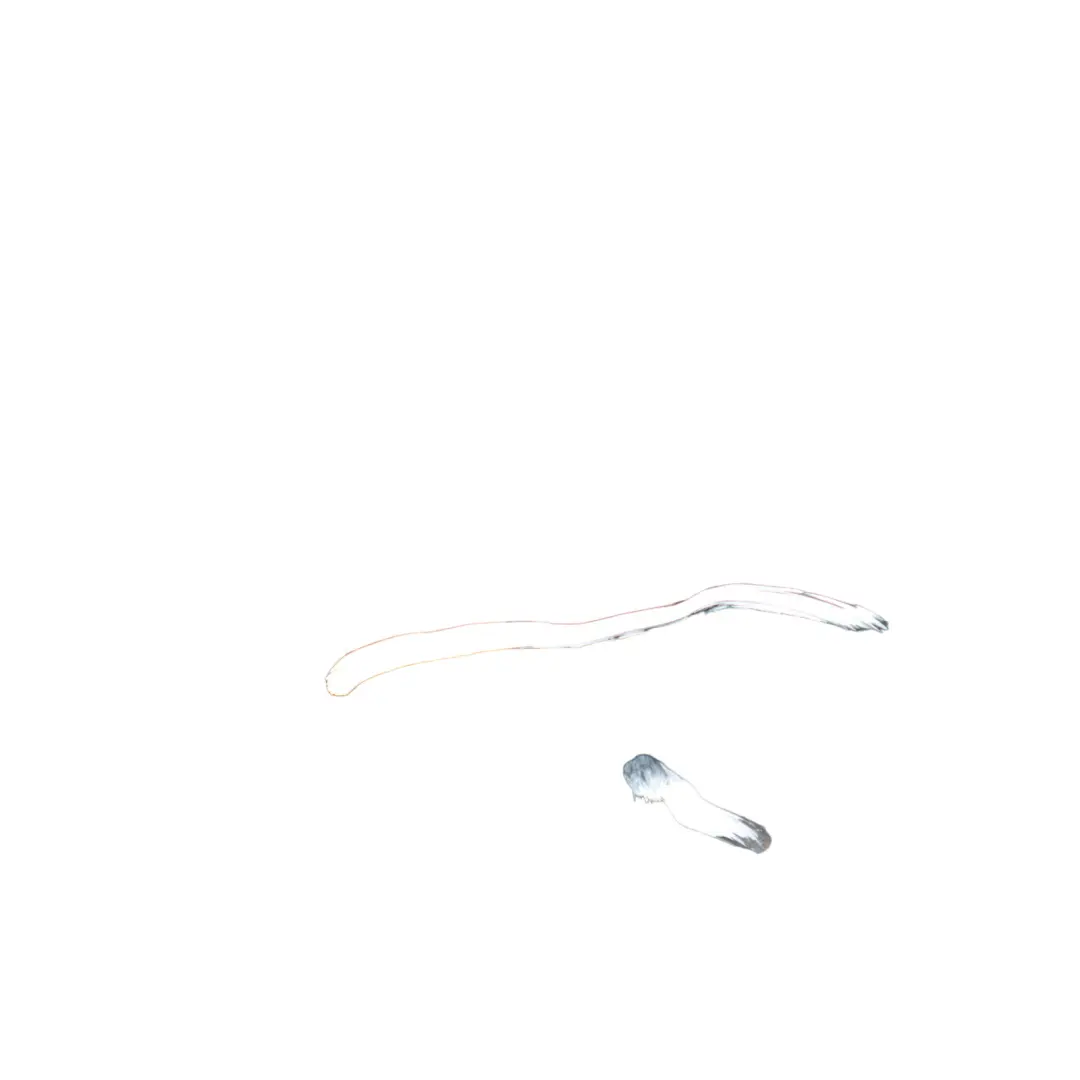 Skirt Strip Trim Panel Right O/S Cover Phantom Black LZ9Y 8X0853860 to Audi A1 8X with Part number 8X0853860-PHB Audi A1 8X Skirt Strip Trim Panel Right O/S Cover Phantom Black LZ9Y 8X0853860 - SKU 8X0853860-PHB - Part number 8X0853860-PHB