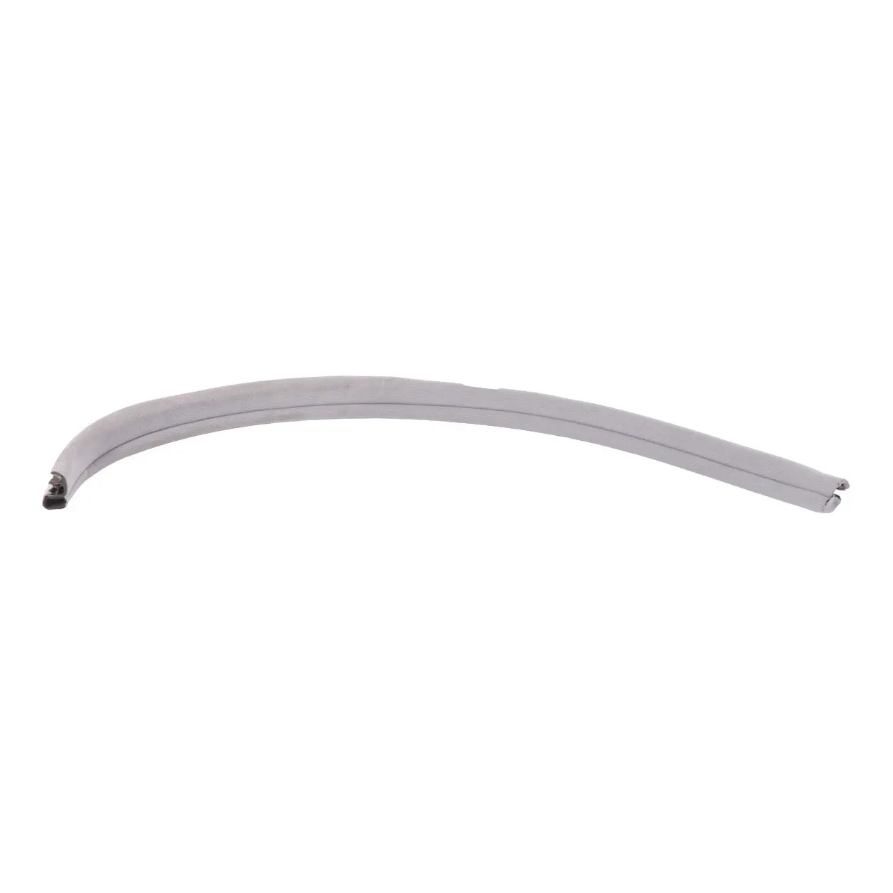 Mercedes C140 Edge Guard Door Seal Front Right O/S A1406972851