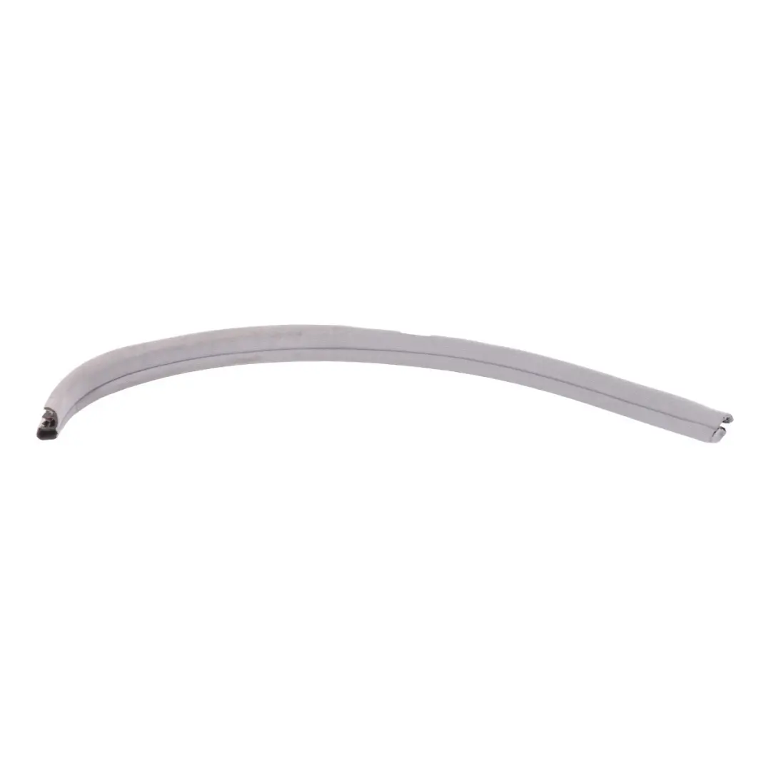 Mercedes C140 Kantenschutz Türdichtung vorne rechts - SKU A1406972851 - Teilenummer A1406972851