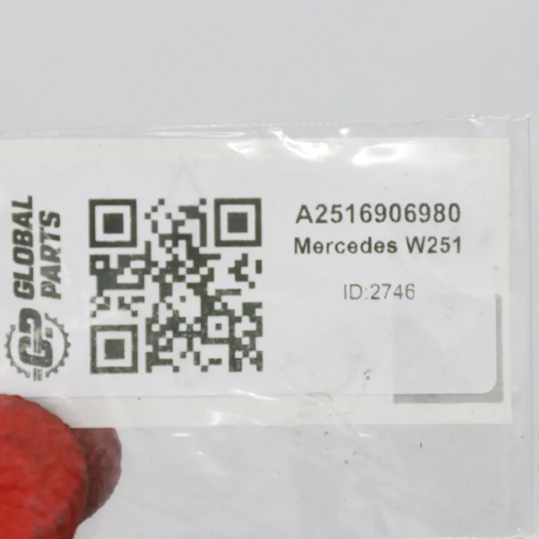Mercedes W251 Rail Rear Left N/S Interior Door Sill Trim Cover - SKU A2516906980 - Part number A2516906980