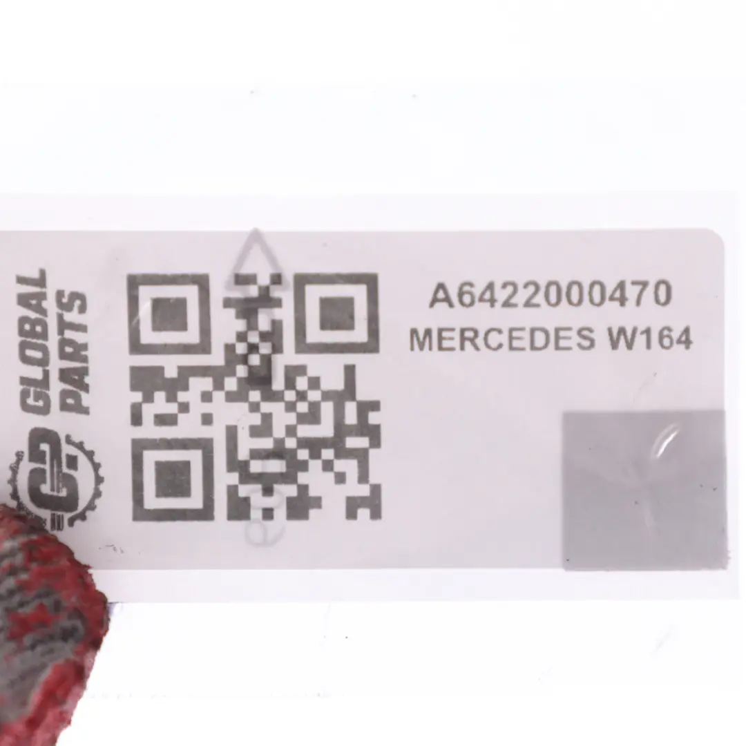 OM642 Polea tensora de la correa del motor para Mercedes W164 W221 W251 con número de pieza A6422000470 Mercedes W164 W221 W251 OM642 Polea tensora de la correa del motor - SKU A6422000470 - Número de pieza A6422000470