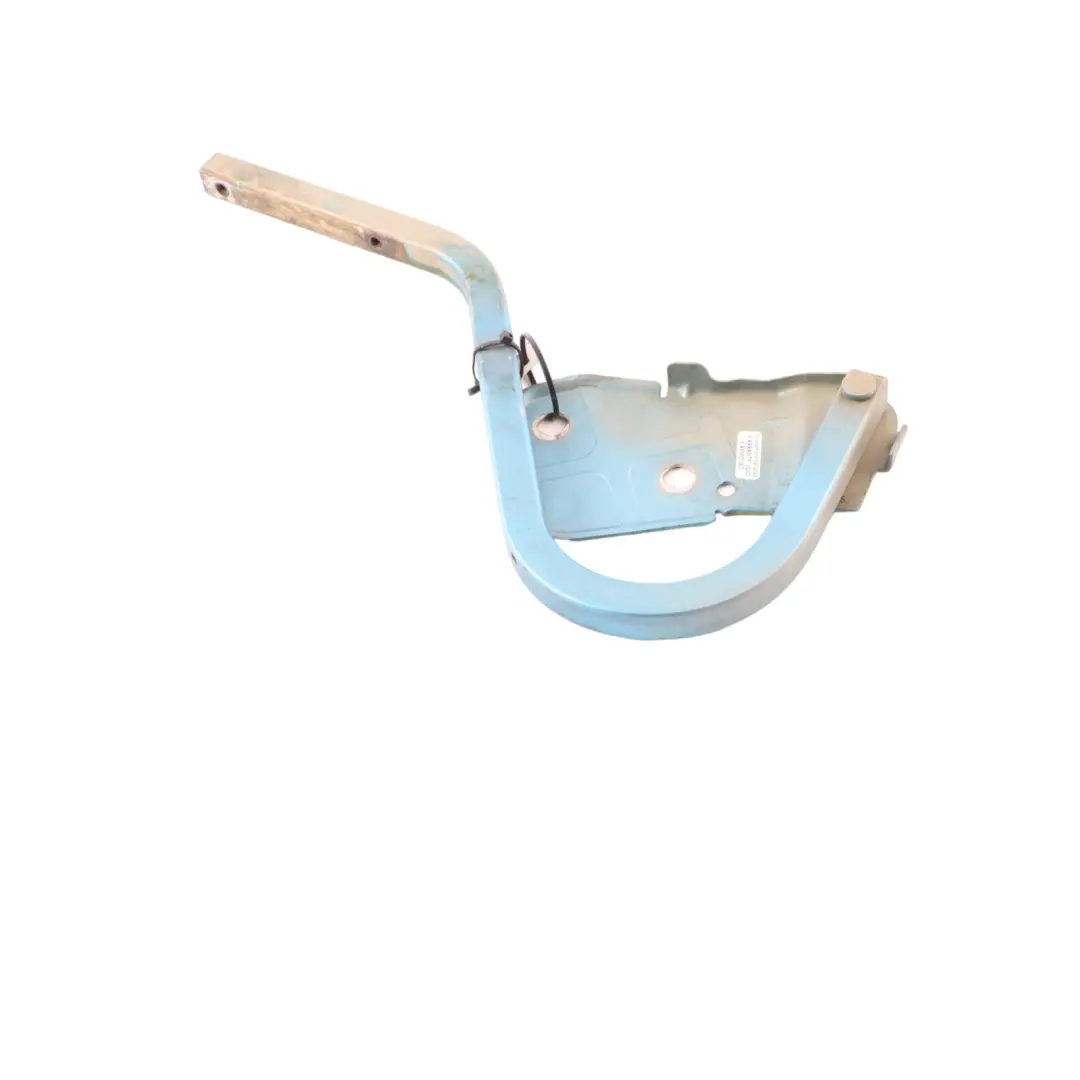  Hood Hinge Bonnet Mini Cooper R50 R52 R53 Left N/S Electric Blue Metallic - 870 - SKU P0598828-ELB - Part number P0598828