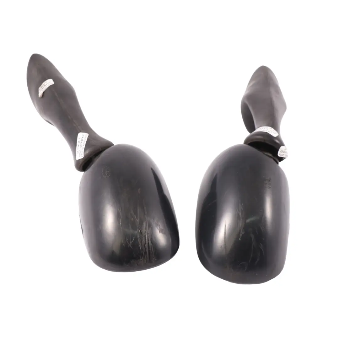 Honda Pantheon 125 Mirror Wing Set Left Right N/O/S - SKU TP-RT798 - Part number TP-RT798