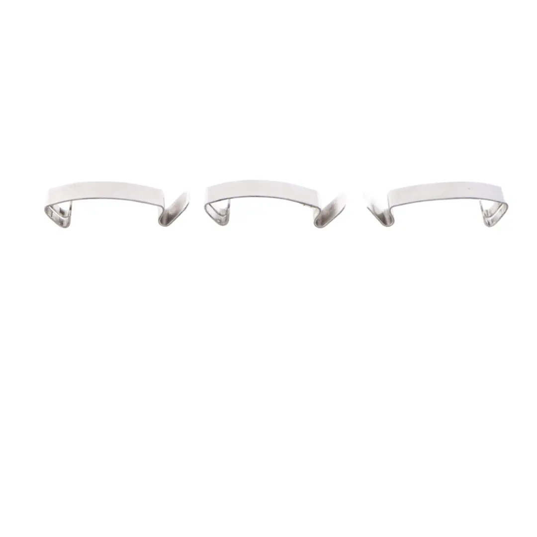  Clip de resorte BMW F20 F21 F30 F31 E90 E91 F10 F11 Filtro aire abrazadera Set - SKU 1716113 - Número de pieza 1716113