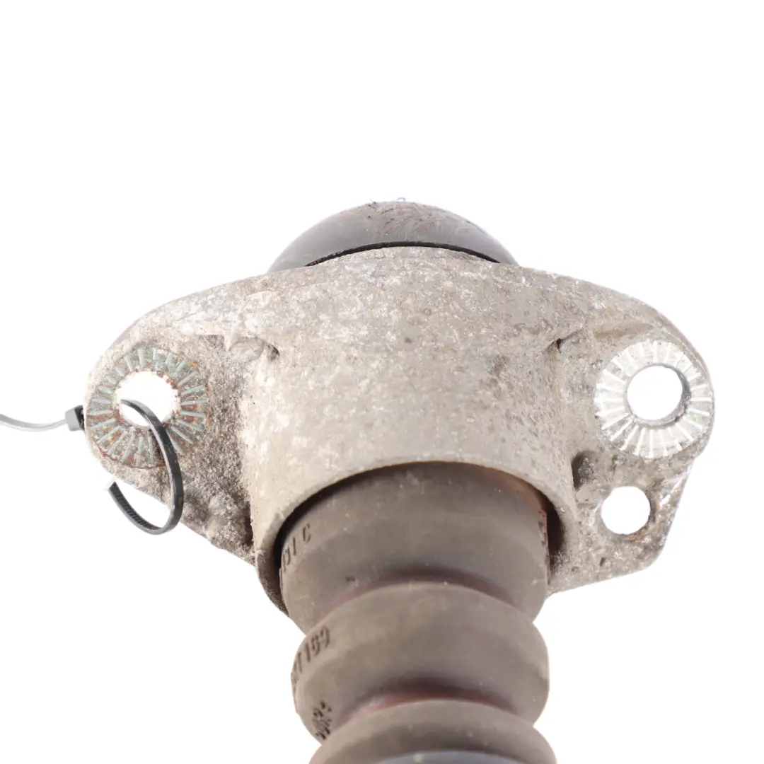 Suspension Spring Strut Shock Absorber to VW New Beetle Rear with Part number 1J0512011BP VW New Beetle Rear Suspension Spring Strut Shock Absorber - SKU 1J0512011BP - Part number 1J0512011BP