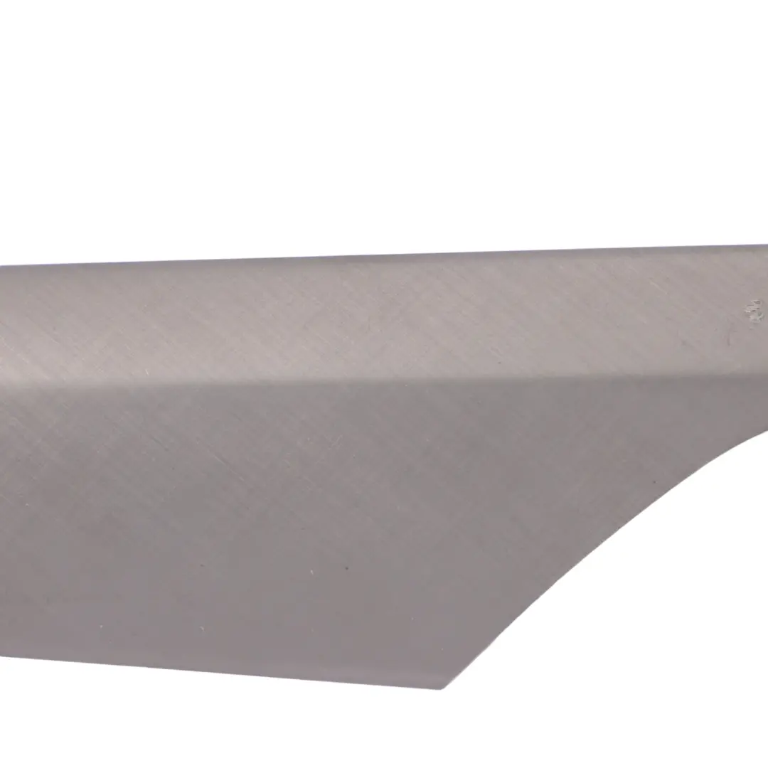 Embellecedor Puerta BMW X1 E84 Tapa Delantera Izquierda Acabado Fino - SKU 2991391-1 - Número de pieza 2991391