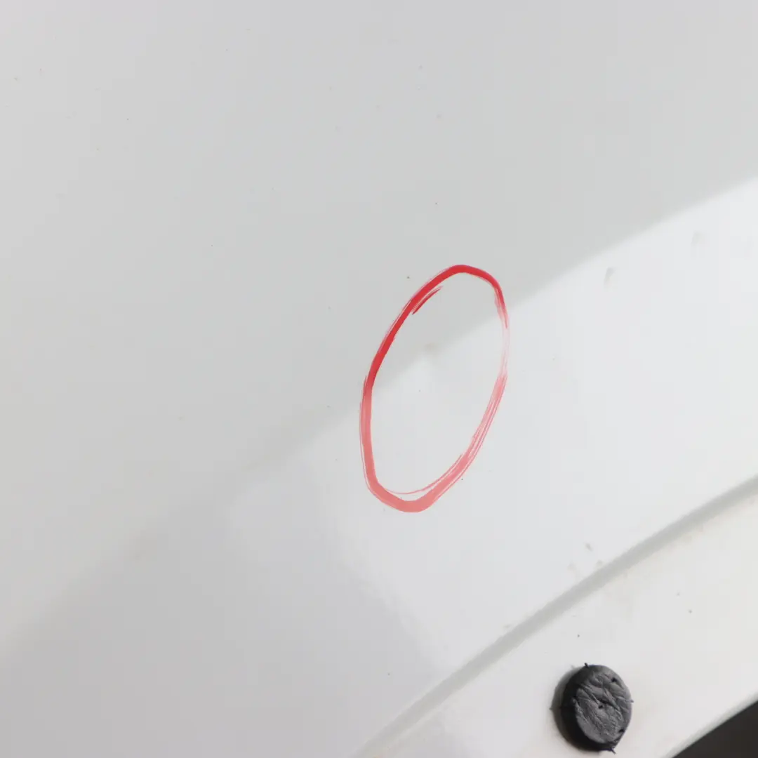 Panel lateral BMW X1 E84 Guardabarros delantero izquierdo Cubierta Alpinweiss para con número de pieza 2993155 Panel lateral BMW X1 E84 Guardabarros delantero izquierdo Cubierta Alpinweiss - SKU 2993155-AW - Número de pieza 2993155