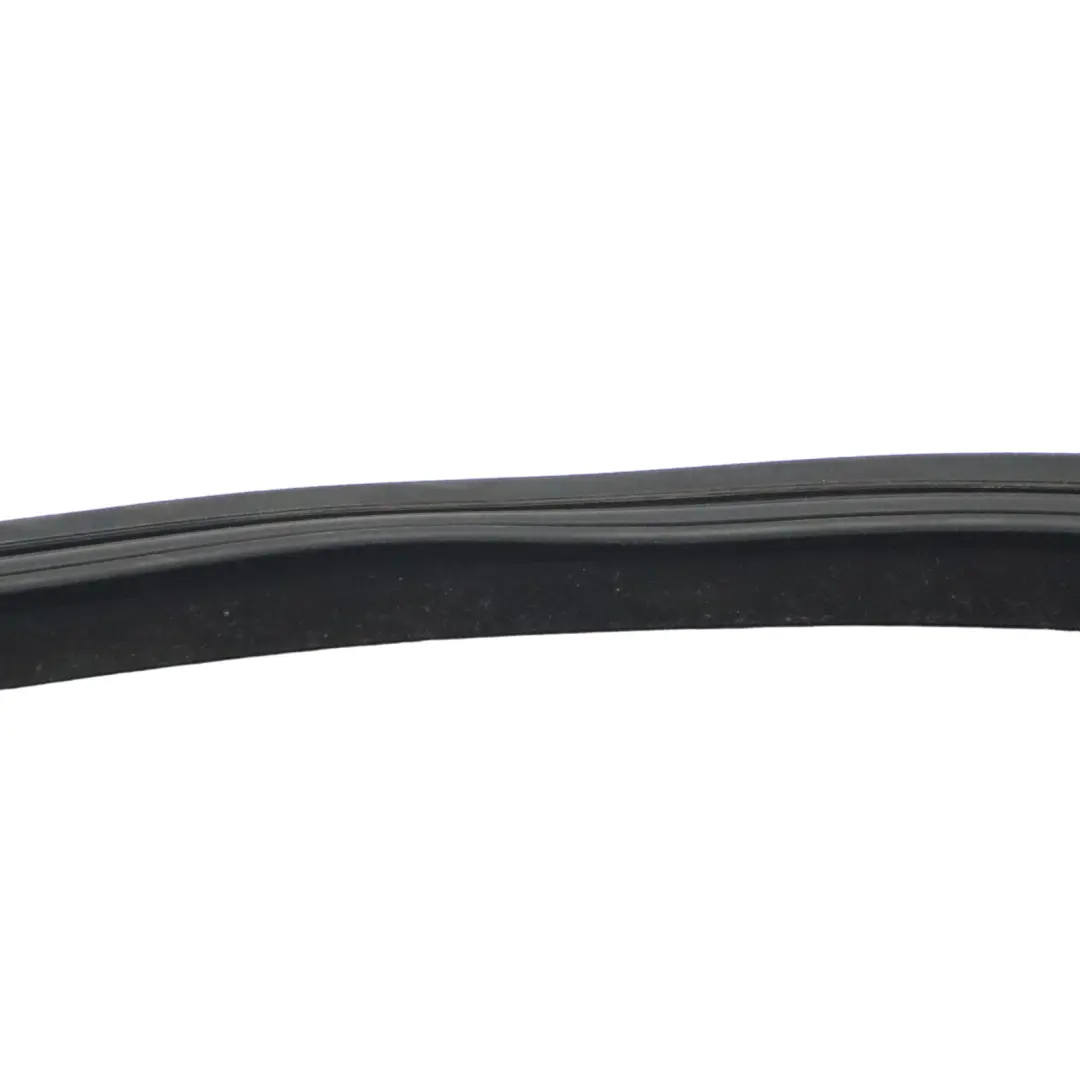 Volkswagen Passat B7 Window Seal Door Rear Left N/S Sealing Gasket - SKU 3C9839431H - Part number 3C9839431H