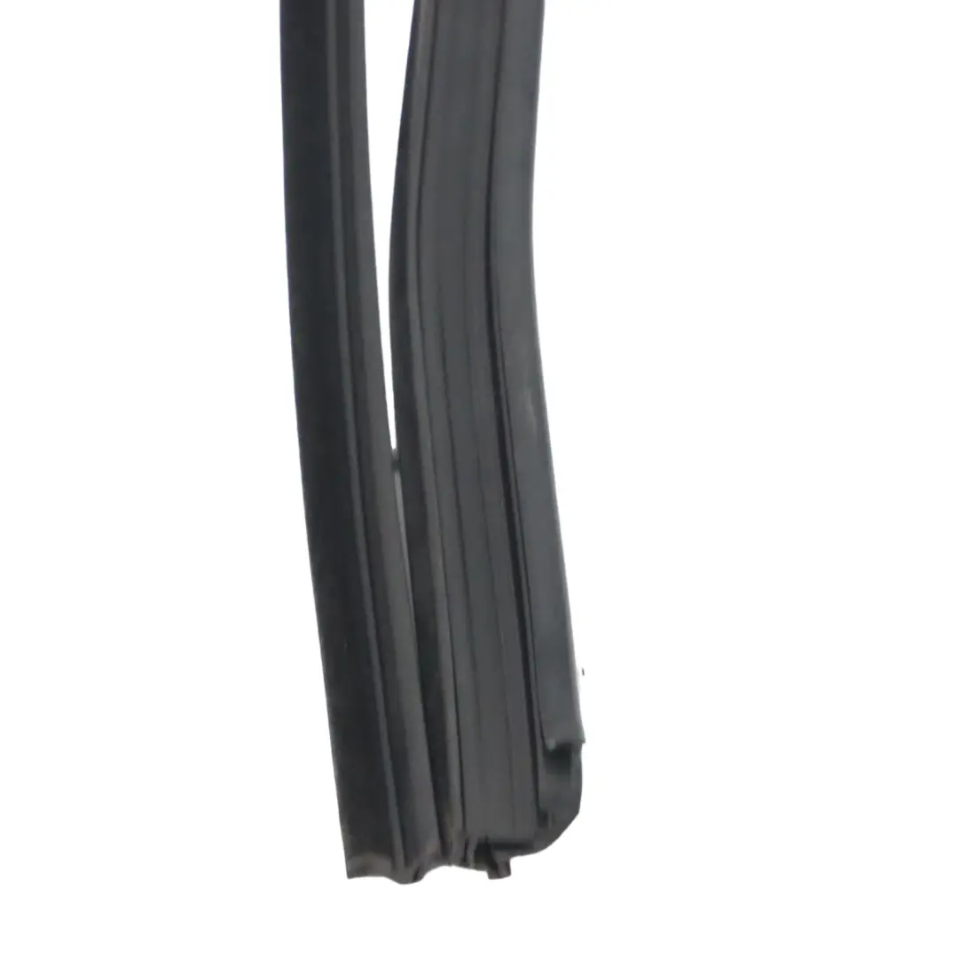 Volkswagen Passat B7 Window Seal Door Rear Left N/S Sealing Gasket - SKU 3C9839431H - Part number 3C9839431H
