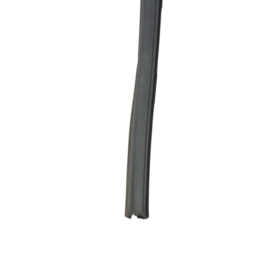 VW Tiguan 5N Telaio del lunotto guida guarnizione sinistra cromo - SKU 5N0839431H - Numero di parte 5N0839431H