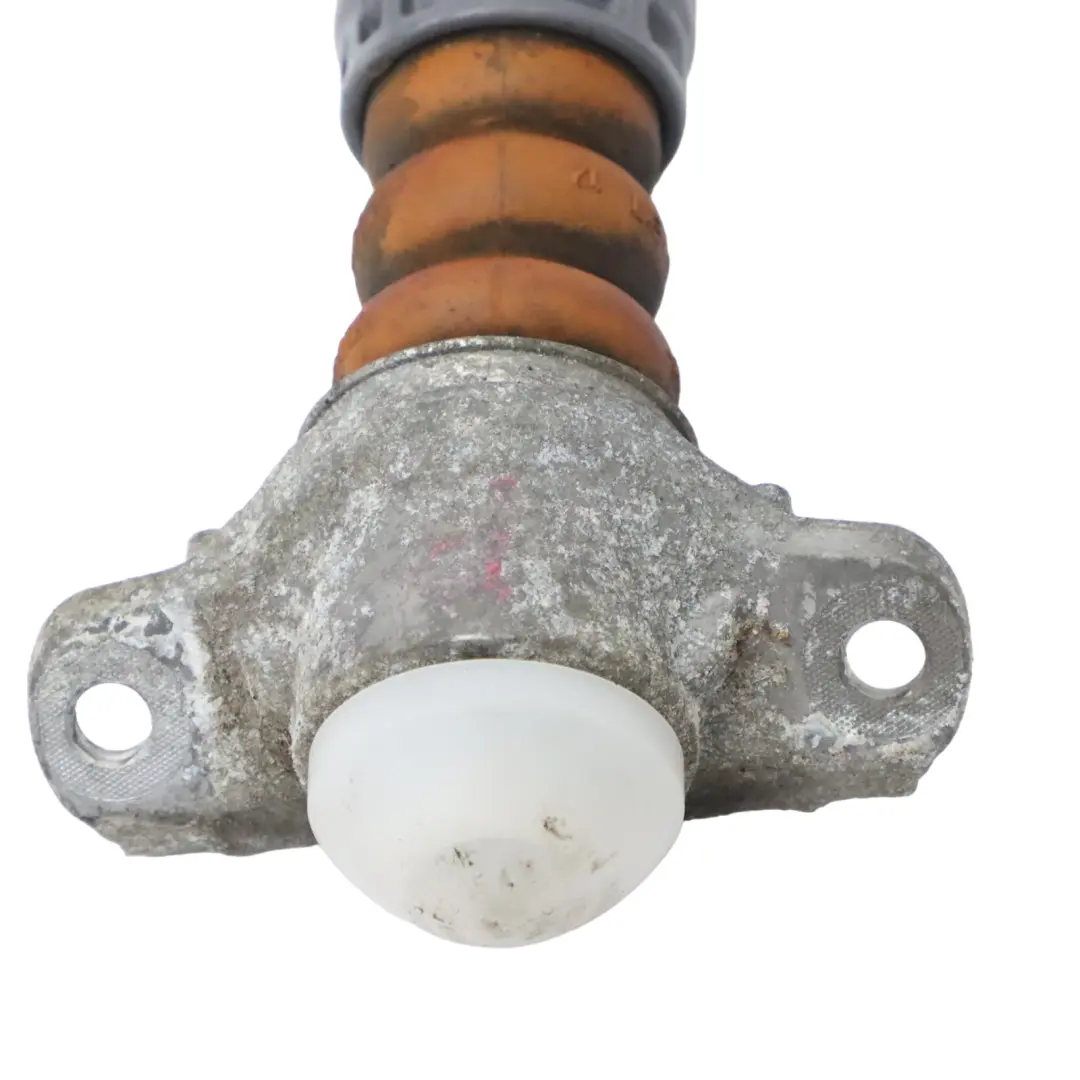 Strut Rear Left Right N/O/S Sport Shock Absorber to Audi A3 8V Spring with Part number 5Q0513049BG Audi A3 8V Spring Strut Rear Left Right N/O/S Sport Shock Absorber - SKU 5Q0513049BG - Part number 5Q0513049BG