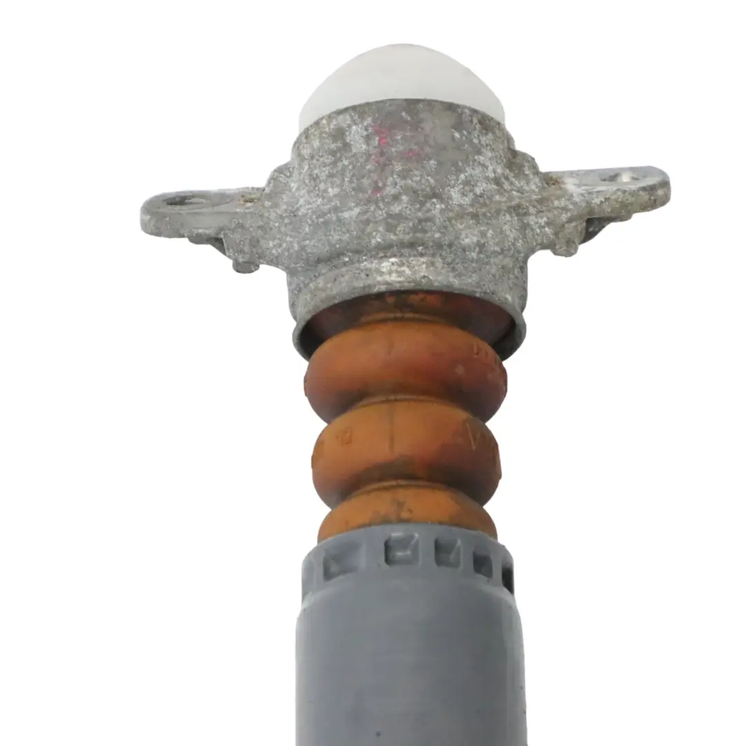 Strut Rear Left Right N/O/S Sport Shock Absorber to Audi A3 8V Spring with Part number 5Q0513049BG Audi A3 8V Spring Strut Rear Left Right N/O/S Sport Shock Absorber - SKU 5Q0513049BG - Part number 5Q0513049BG