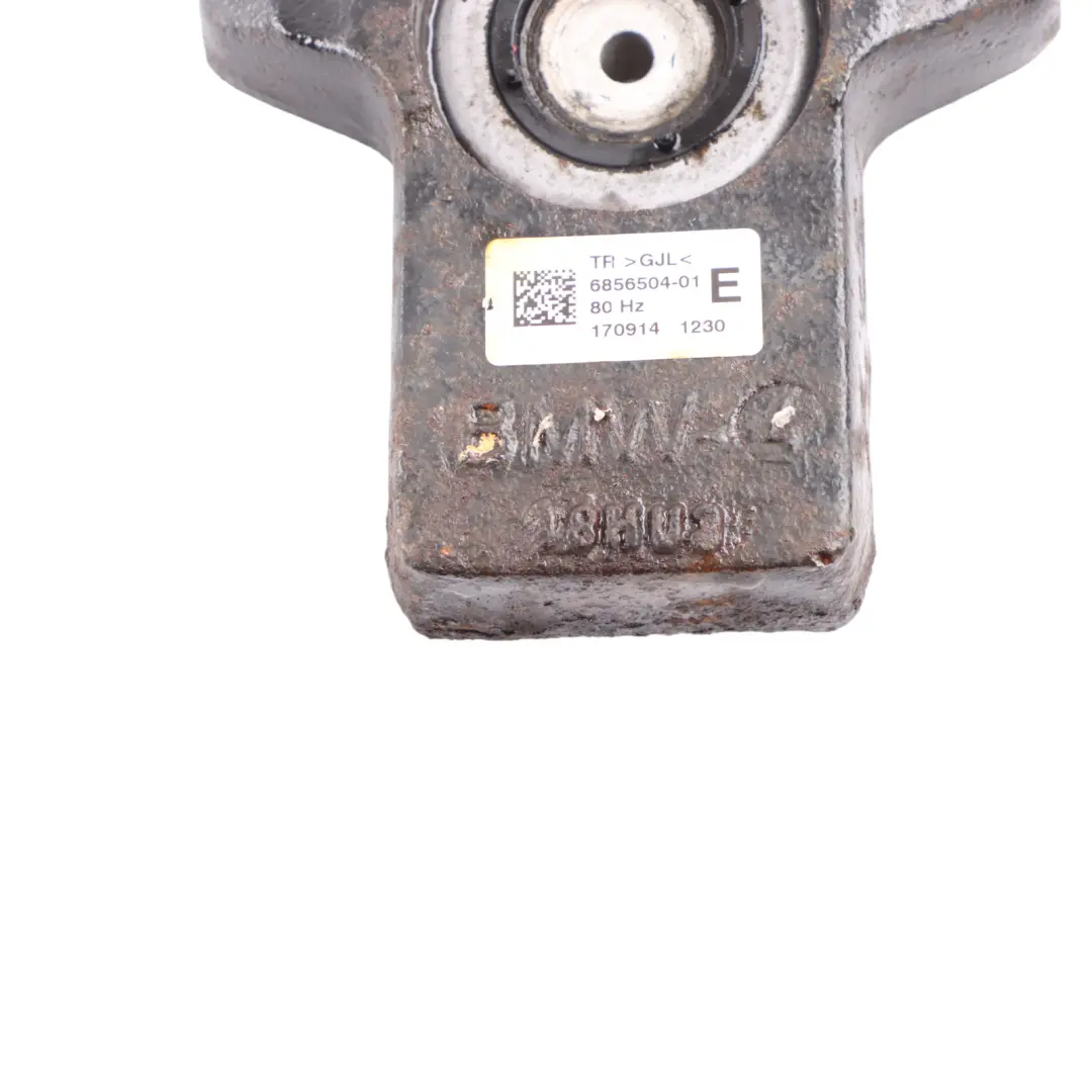 Amortiguador De Vibraciones Soporte Diferencial para BMW F22 F23 F30 F32 F33 con número de pieza 6856504 BMW F22 F23 F30 F32 F33 Amortiguador De Vibraciones Soporte Diferencial - SKU 6856504 - Número de pieza 6856504