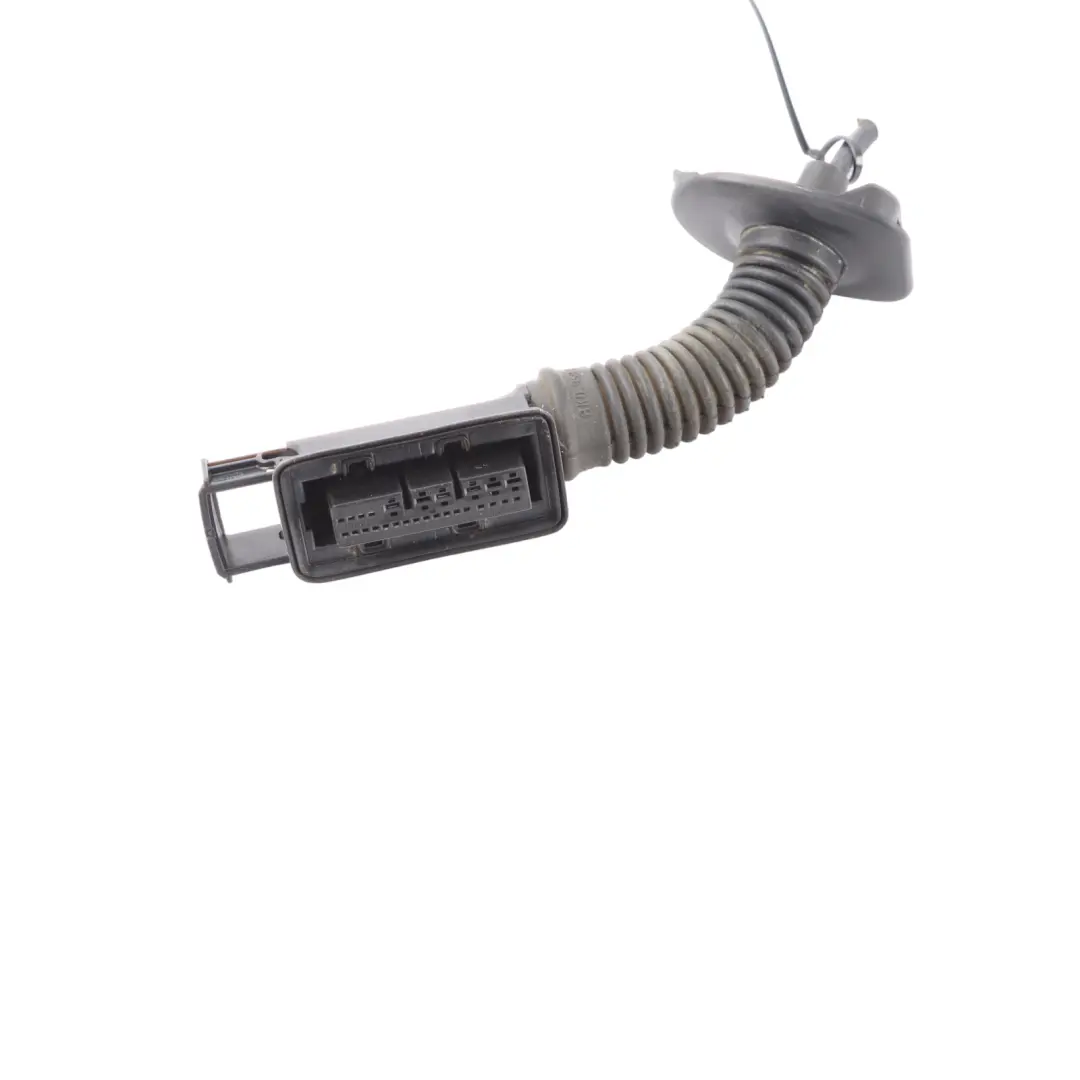 6J Door Wiring Harness Rear Right O/S to Seat Ibiza with Part number 6J4971161D Seat Ibiza 6J Door Wiring Harness Rear Right O/S - SKU 6J4971161D - Part number 6J4971161D