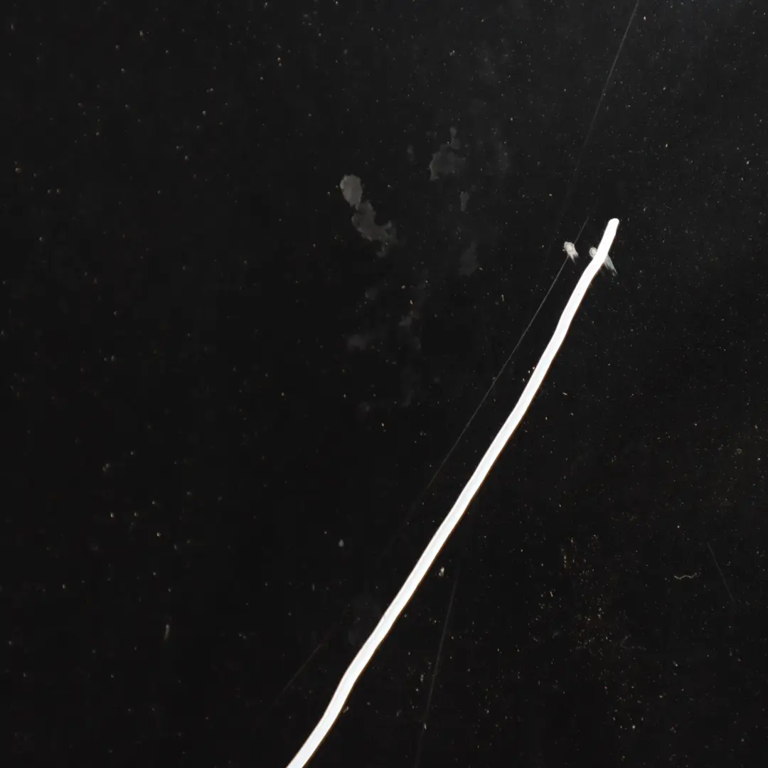 Bonnet Hood Front Black Sapphire Metallic - 475 to BMW E92 E93 with Part number 7168514 BMW E92 E93 Bonnet Hood Front Black Sapphire Metallic - 475 - SKU 7168514-BS - Part number 7168514