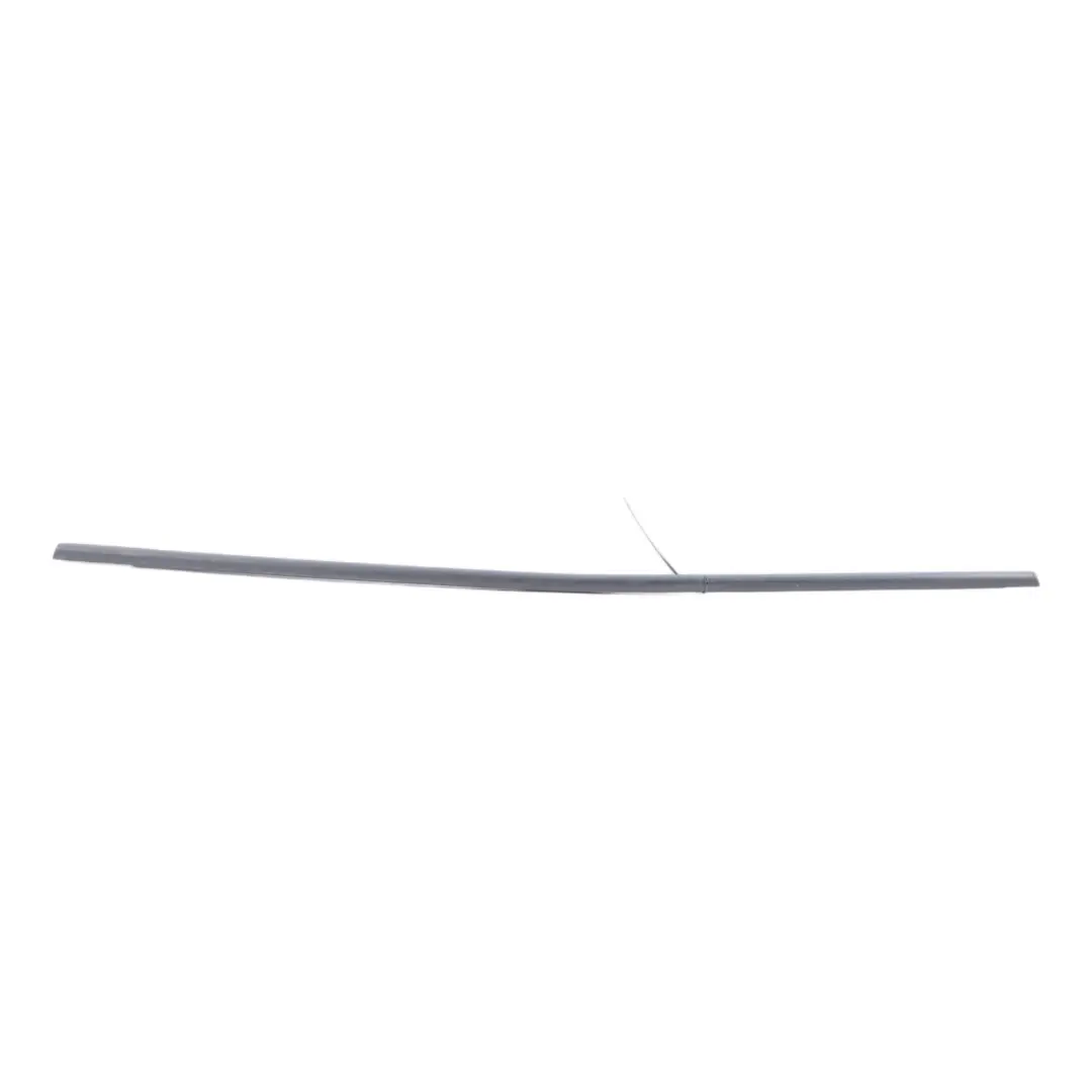 BMW F31 Door Window Strip Seal Gasket Trim Outer Rear Left N/S - SKU 7258291 - Part number 7258291