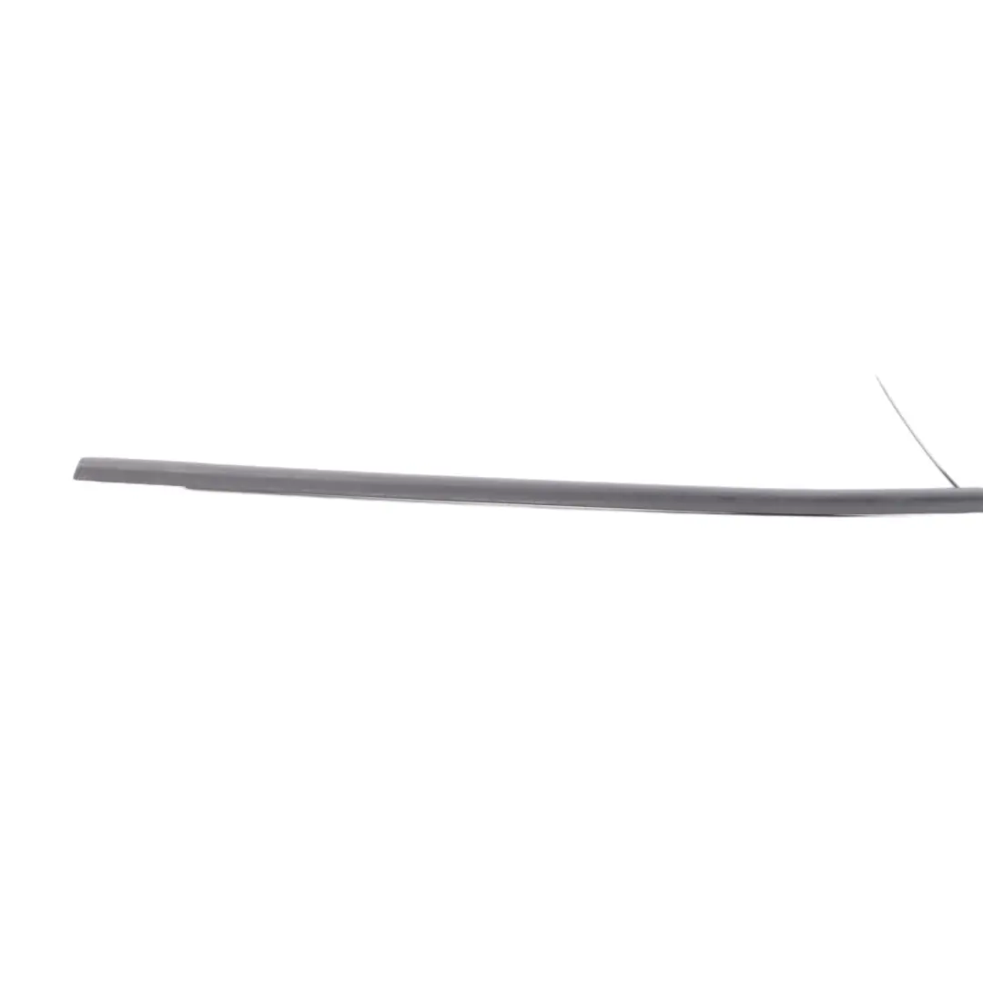 BMW F31 Hintere Tür Streifen Dichtung Dichtung links Trim außen - SKU 7258291 - Teilenummer 7258291
